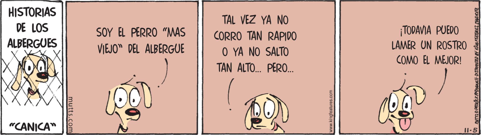 Fiction OCR: HISTORIAS DE LOS ALBERGUES "CANICA™ mutts.com SOY EL PERRO "MAS VIEJO DEL ALBERGUE TAL VEZ YA NO CORRO TAN RAPIDO O YA NO SALTO TAN ALTO... PERO... ¡TODAVIA PUEDO LAMER UN ROSTRO COMO EL MEJOR! www.kingfeatures.com 11-5 MUTTS@PATRICK MADONNE DISTRIBUTED BY KING FEATURES SYNDICATE HISTORIAS DE LOS ALBERGUES " CANICA ™ mutts.com SOY EL PERRO " MAS VIEJO DEL ALBERGUE TAL VEZ YA NO CORRO TAN RAPIDO O YA NO SALTO TAN ALTO ... PERO ... ¡ TODAVIA PUEDO LAMER UN ROSTRO COMO EL MEJOR ! www.kingfeatures.com 11-5 MUTTS @ PATRICK MADONNE DISTRIBUTED BY KING FEATURES SYNDICATE