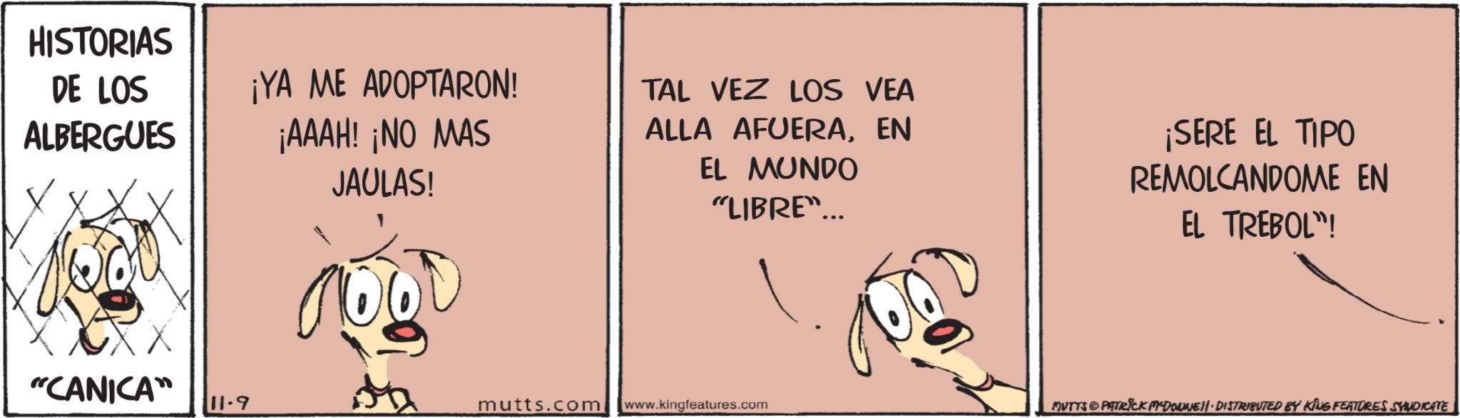 Humour OCR: HISTORIAS DE LOS ALBERGUES "CANICA" 11-9 ¡YA ME ADOPTARON! ¡AAAH! ¡NO MAS JAULAS! GOOD TAL VEZ LOS VEA ALLA AFUERAEN EL MUNDO "LIBRE"... ¡SERE EL TIPO REMOLCANDOME EN EL TREBOL"! mutts.com www.kingfeatures.com MUTTS PATRICK M-DOWNE • DISTRIBUTED BY KING FEATURES SYNDICATE HISTORIAS DE LOS ALBERGUES " CANICA " 11-9 ¡ YA ME ADOPTARON ! ¡ AAAH ! ¡ NO MAS JAULAS ! GOOD TAL VEZ LOS VEA ALLA AFUERAEN EL MUNDO " LIBRE " ... ¡ SERE EL TIPO REMOLCANDOME EN EL TREBOL " ! mutts.com www.kingfeatures.com MUTTS PATRICK M - DOWNE • DISTRIBUTED BY KING FEATURES SYNDICATE