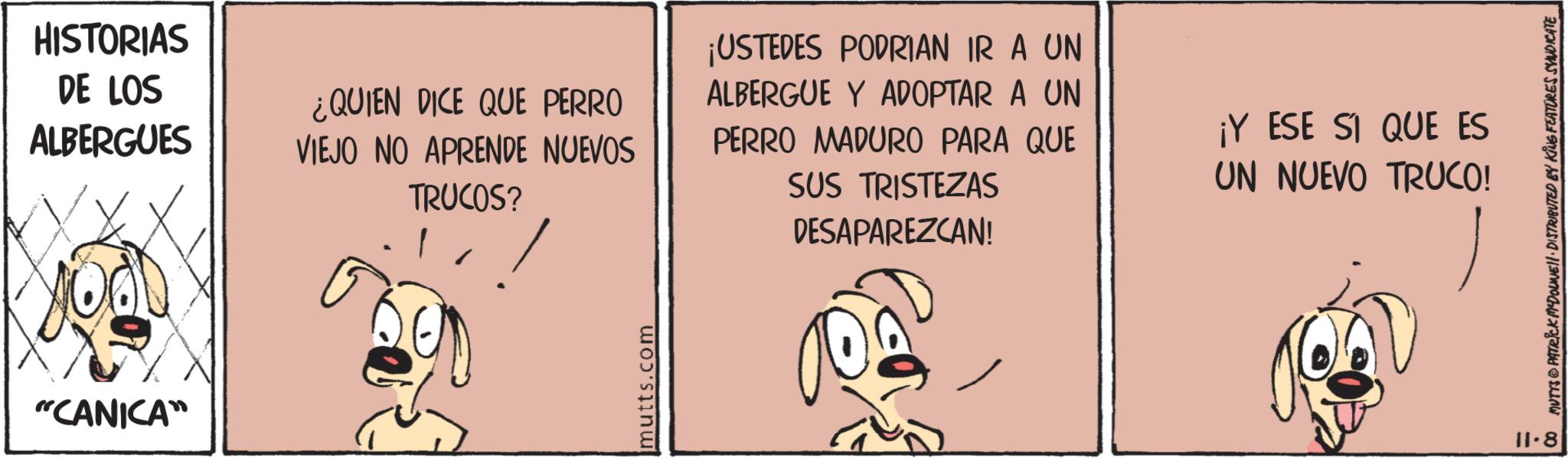 Fiction OCR: HISTORIAS DE LOS ALBERGUES ¿QUIEN DICE QUE PERRO VIEJO NO APRENDE NUEVOS "CANICA" TRUCOS? mutts.com ¡USTEDES PODRIAN IR A UN ALBERGUE Y ADOPTAR A UN PERRO MADURO PARA QUE SUS TRISTEZAS DESAPAREZCAN! ¡Y ESE SI QUE ES UN NUEVO TRUCO! 11-8 00 MUTYS & PATRICK McDowell DISTRIBUTED BY KING FEATURES SYNDICATE HISTORIAS DE LOS ALBERGUES ¿ QUIEN DICE QUE PERRO VIEJO NO APRENDE NUEVOS " CANICA " TRUCOS ? mutts.com ¡ USTEDES PODRIAN IR A UN ALBERGUE Y ADOPTAR A UN PERRO MADURO PARA QUE SUS TRISTEZAS DESAPAREZCAN ! ¡ Y ESE SI QUE ES UN NUEVO TRUCO ! 11-8 00 MUTYS & PATRICK McDowell DISTRIBUTED BY KING FEATURES SYNDICATE