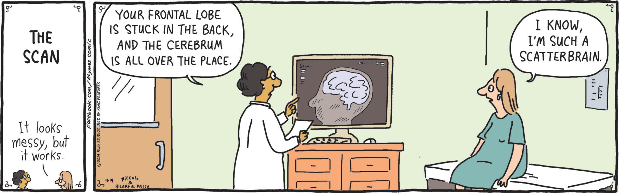 Chest of drawers OCR: g THE SCAN YOUR FRONTAL LOBE IS STUCK IN THE BACKAND THE CEREBRUM IS ALL OVER THE PLACE. I KNOWI'M SUCH A SCATTERBRAIN. Facebook.com/Rhymes comic 2024 RWO STUDIOS DIST. BY KING FEATURES It looks messybut it works. ? 11-19 piccolo & HILARY B. PRICE JJI ?? g THE SCAN YOUR FRONTAL LOBE IS STUCK IN THE BACKAND THE CEREBRUM IS ALL OVER THE PLACE . I KNOWI'M SUCH A SCATTERBRAIN . Facebook.com/Rhymes comic 2024 RWO STUDIOS DIST . BY KING FEATURES It looks messybut it works . ? 11-19 piccolo & HILARY B. PRICE JJI ??