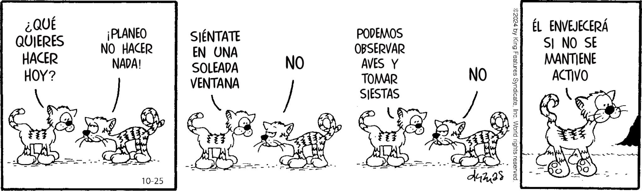 Rectangle OCR: ¿QUÉ ¡PLANEO QUIERES SIÉNTATE NO HACER HACER EN UNA NADA! SOLEADA NO HOY? 10-25 VENTANA PODEMOS OBSERVAR AVES Y TOMAR SIESTAS F NO 2024 by King Features SyndicateInc. World rights reserved. 443428 ÉL ENVEJECERÁ SI NO SE MANTIENE ACTIVO ¿ QUÉ ¡ PLANEO QUIERES SIÉNTATE NO HACER HACER EN UNA NADA ! SOLEADA NO HOY ? 10-25 VENTANA PODEMOS OBSERVAR AVES Y TOMAR SIESTAS F NO 2024 by King Features SyndicateInc. World rights reserved . 443428 ÉL ENVEJECERÁ SI NO SE MANTIENE ACTIVO