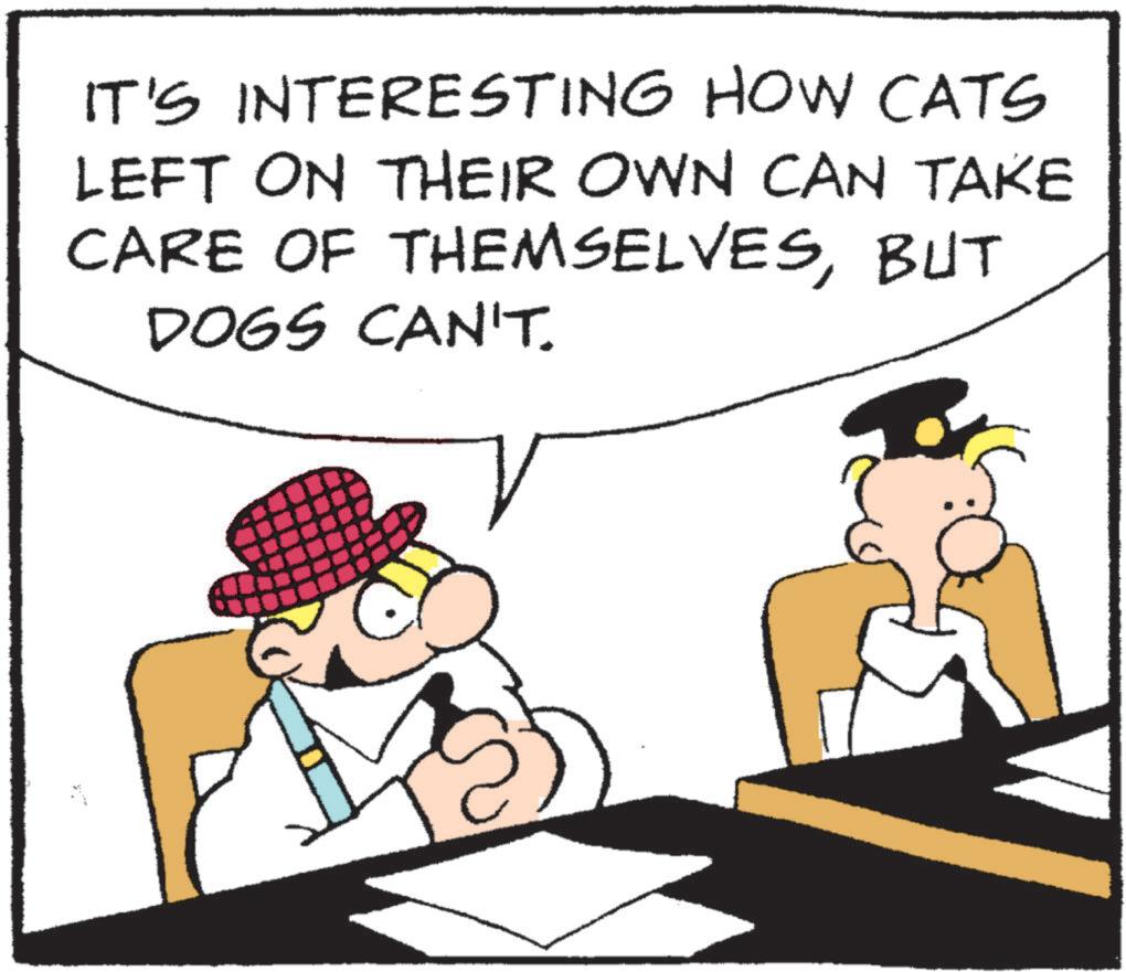 People OCR: IT'S INTERESTING HOW CATS LEFT ON THEIR OWN CAN TAKE CARE OF THEMSELVESBUT DOGS CAN'T. IT'S INTERESTING HOW CATS LEFT ON THEIR OWN CAN TAKE CARE OF THEMSELVESBUT DOGS CAN'T .