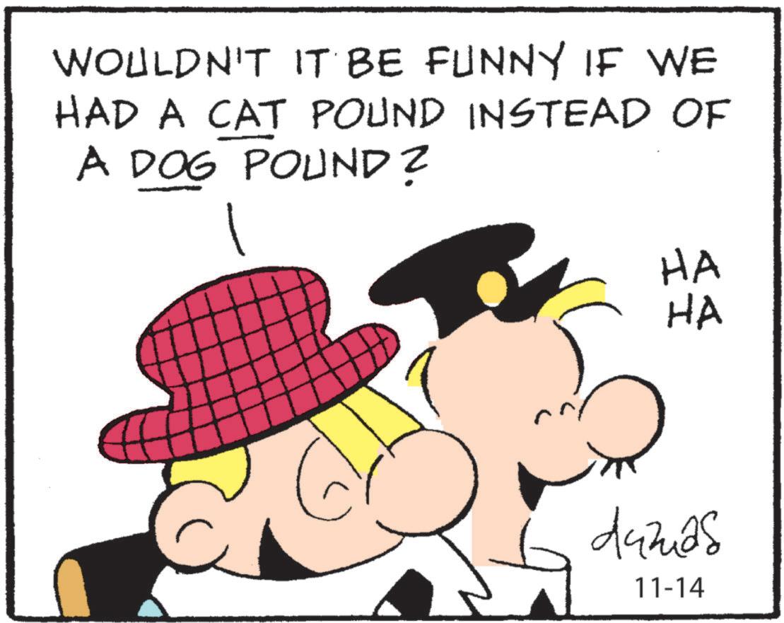 Rectangle OCR: WOULDN'T IT BE FUNNY IF WE HAD A CAT POUND INSTEAD OF A DOG POUND? HA HA damas 11-14 WOULDN'T IT BE FUNNY IF WE HAD A CAT POUND INSTEAD OF A DOG POUND ? HA HA damas 11-14