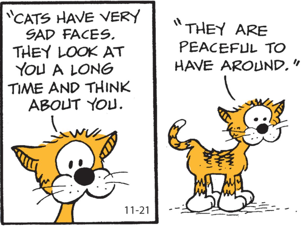 Rectangle OCR: "CATS HAVE VERY SAD FACES. THEY LOOK AT YOU A LONG TIME AND THINK ABOUT YOU. "THEY ARE PEACEFUL TO HAVE AROUND" 11-21 " CATS HAVE VERY SAD FACES . THEY LOOK AT YOU A LONG TIME AND THINK ABOUT YOU . " THEY ARE PEACEFUL TO HAVE AROUND" 11-21