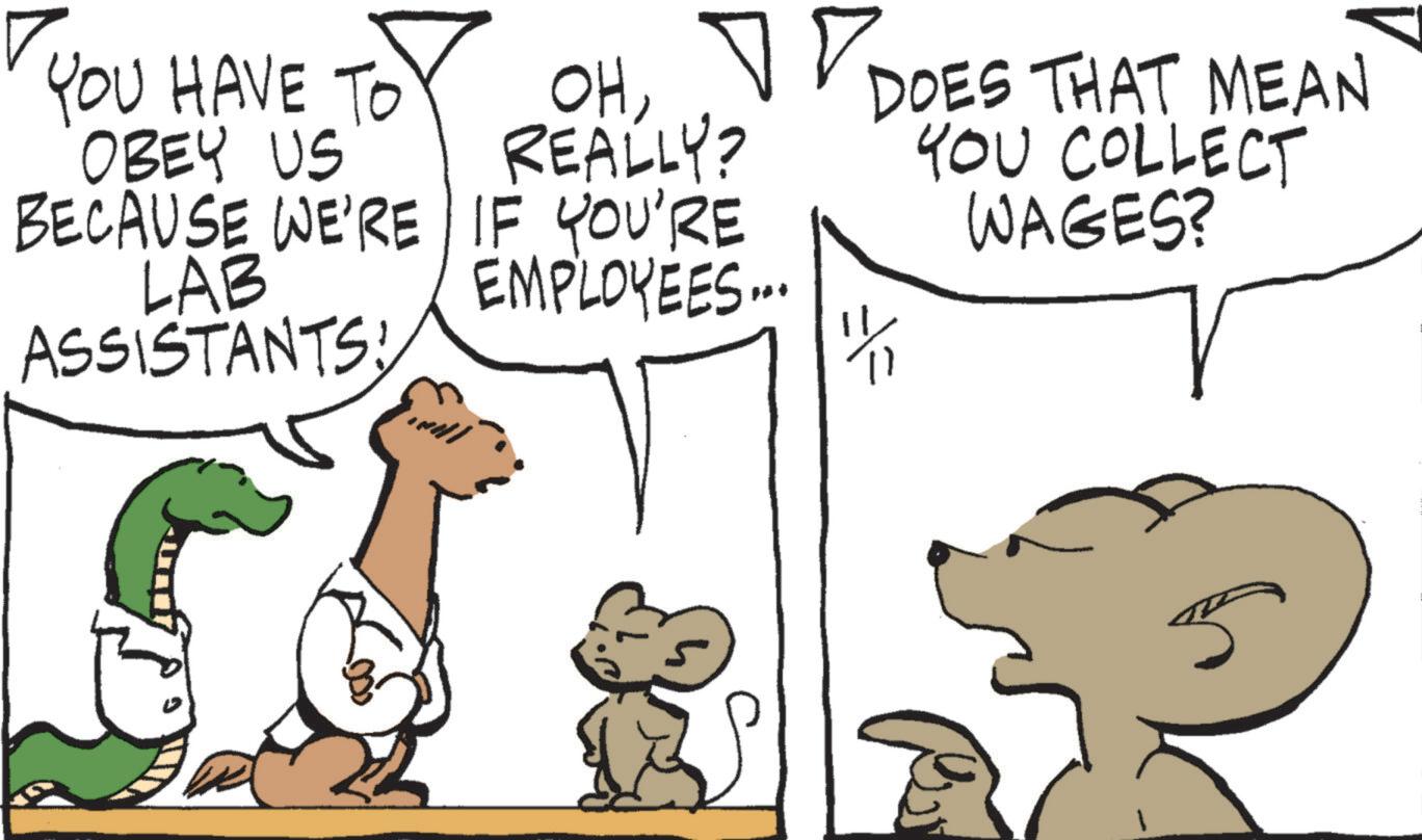 Mammal OCR: YOU HAVE TO OBEY US BECAUSE WE'RE LAB ASSISTANTS ??? REALLY? IF YOU'RE EMPLOYEES... DOES THAT MEAN YOU COLLECT WAGES? YOU HAVE TO OBEY US BECAUSE WE'RE LAB ASSISTANTS ??? REALLY ? IF YOU'RE EMPLOYEES ... DOES THAT MEAN YOU COLLECT WAGES ?