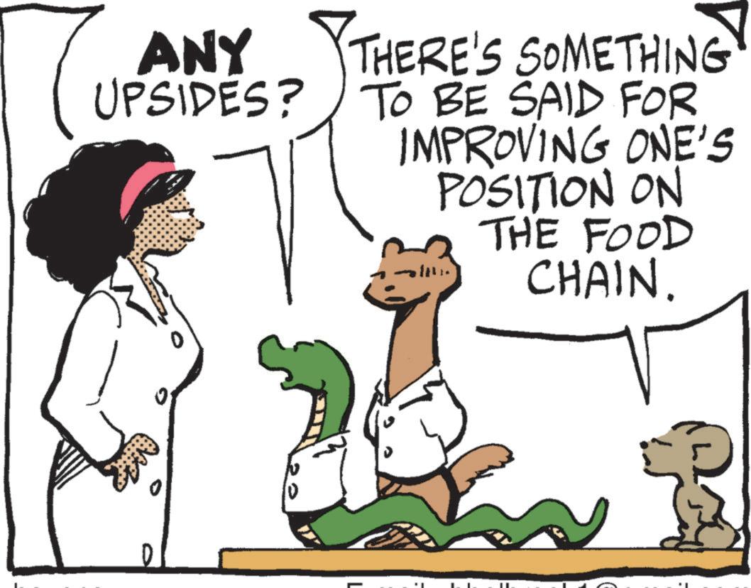 Font OCR: ANY UPSIDES? THERE'S SOMETHING TO BE SAID FOR IMPROVING ONE'S POSITION ON THE FOOD CHAIN. I ANY UPSIDES ? THERE'S SOMETHING TO BE SAID FOR IMPROVING ONE'S POSITION ON THE FOOD CHAIN . I
