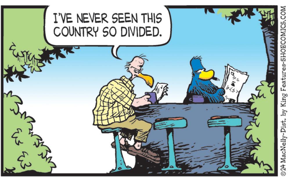Art OCR: I'VE NEVER SEEN THIS COUNTRY SO DIVIDED. 33 ?? ???? ©24 MacNelly-Dist. by King Features-SHOECOMICS.COM I'VE NEVER SEEN THIS COUNTRY SO DIVIDED . 33 ?? ???? © 24 MacNelly - Dist . by King Features-SHOECOMICS.COM