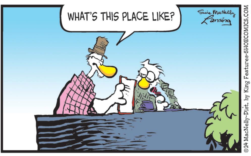 Event OCR: WHAT'S THIS PLACE LIKE? Susie MacNelly Lansing © 24 MacNelly-Dist. by King Features-SHOECOMICS.COM WHAT'S THIS PLACE LIKE ? Susie MacNelly Lansing © 24 MacNelly - Dist . by King Features-SHOECOMICS.COM
