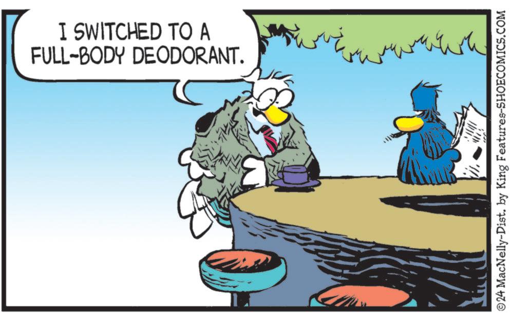 Illustration OCR: I SWITCHED TO A FULL-BODY DEODORANT. ???? ©24 MacNelly-Dist. by King Features-SHOECOMICS.COM I SWITCHED TO A FULL - BODY DEODORANT . ???? © 24 MacNelly - Dist . by King Features-SHOECOMICS.COM