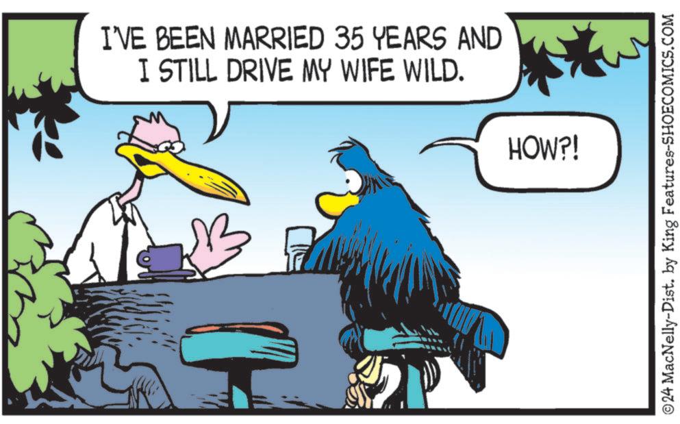 Conversation OCR: I'VE BEEN MARRIED 35 YEARS AND I STILL DRIVE MY WIFE WILD. HOW?! ©24 MacNelly-Dist. by King Features-SHOECOMICS.COM I'VE BEEN MARRIED 35 YEARS AND I STILL DRIVE MY WIFE WILD . HOW ?! © 24 MacNelly - Dist . by King Features-SHOECOMICS.COM