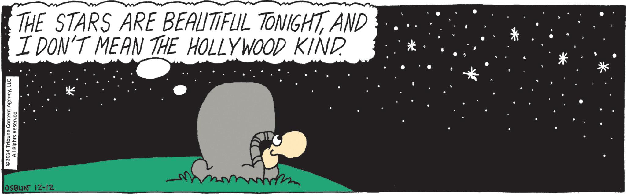 Fiction OCR: ©2024 Tribune Content AgencyLLC All Rights Reserved OSBUN 12-12 THE STARS ARE BEAUTIFUL TONIGHTAND I DON'T MEAN THE HOLLYWOOD KIND. © 2024 Tribune Content AgencyLLC All Rights Reserved OSBUN 12-12 THE STARS ARE BEAUTIFUL TONIGHTAND I DON'T MEAN THE HOLLYWOOD KIND .