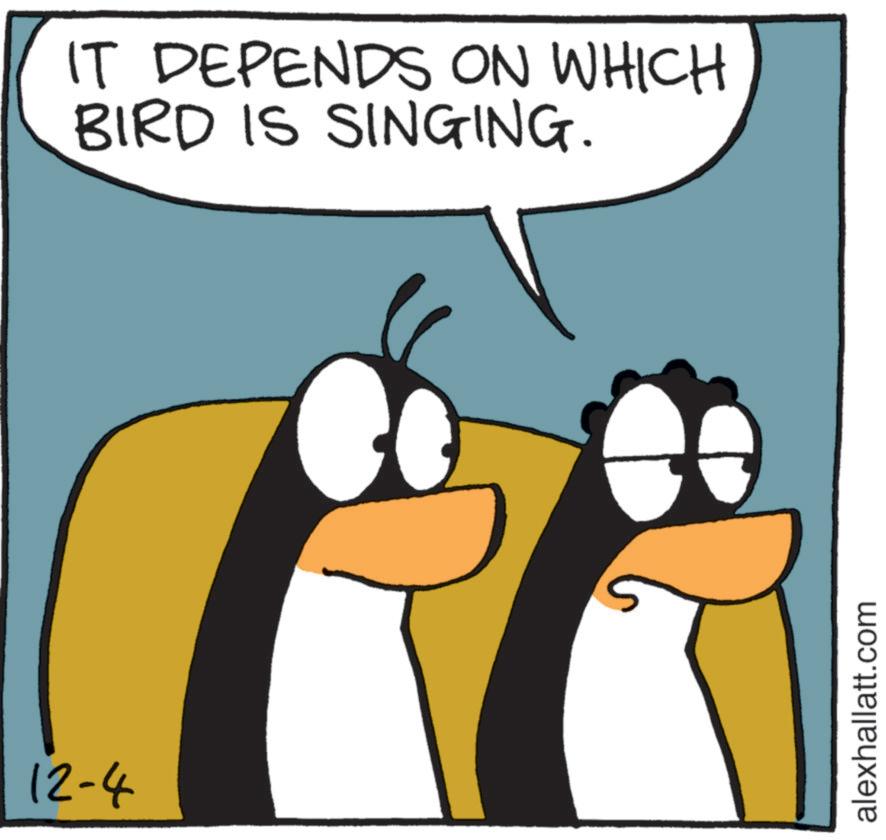 Bird OCR: 12-4 IT DEPENDS ON WHICH BIRD IS SINGING. alexhallatt.com 12-4 IT DEPENDS ON WHICH BIRD IS SINGING . alexhallatt.com