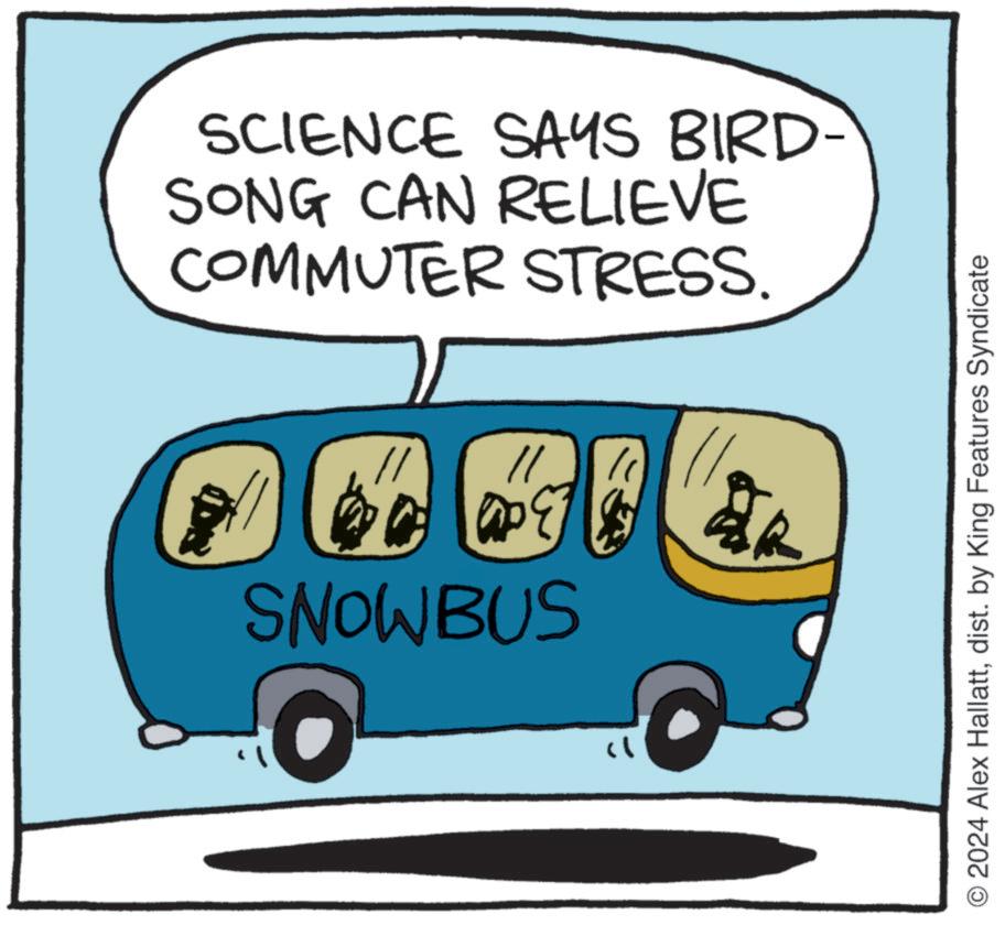 Automotive parking light OCR: SCIENCE SAYS BIRD- SONG CAN RELIEVE COMMUTER STRESS. SNOWBUS " O2024 Alex Hallattdist. by King Features Syndicate SCIENCE SAYS BIRD- SONG CAN RELIEVE COMMUTER STRESS . SNOWBUS " O2024 Alex Hallattdist . by King Features Syndicate