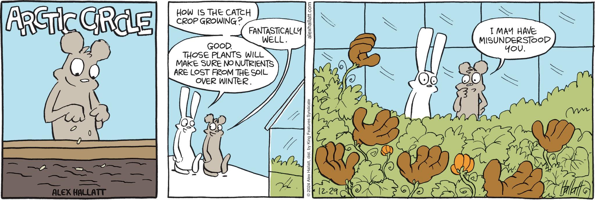 Sharing OCR: ARCTIC CROLE HOW IS THE CATCH CROP GROWING? GOOD. FANTASTICALLY WELL. THOSE PLANTS WILL MAKE SURE NO NUTRIENTS ARE LOST FROM THE SOIL OVER WINTER. ALEX HALLATT 0 © 2024 Alex Hallattdist. by King Features Syndicate alexhallatt.com I MAY HAVE MISUNDERSTOOD you. 12-29 Hallatt m ARCTIC CROLE HOW IS THE CATCH CROP GROWING ? GOOD . FANTASTICALLY WELL . THOSE PLANTS WILL MAKE SURE NO NUTRIENTS ARE LOST FROM THE SOIL OVER WINTER . ALEX HALLATT 0 © 2024 Alex Hallattdist . by King Features Syndicate alexhallatt.com I MAY HAVE MISUNDERSTOOD you . 12-29 Hallatt m