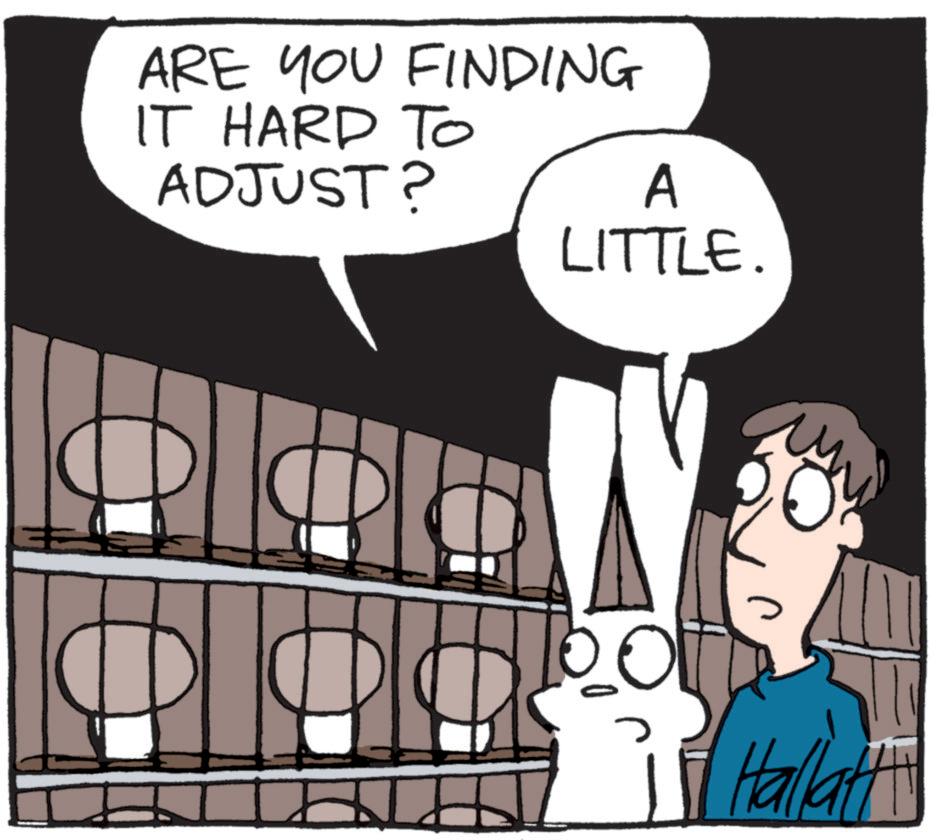 Font OCR: ARE YOU FINDING IT HARD TO ADJUST? A LITTLE. 0 Hallatt ARE YOU FINDING IT HARD TO ADJUST ? A LITTLE . 0 Hallatt