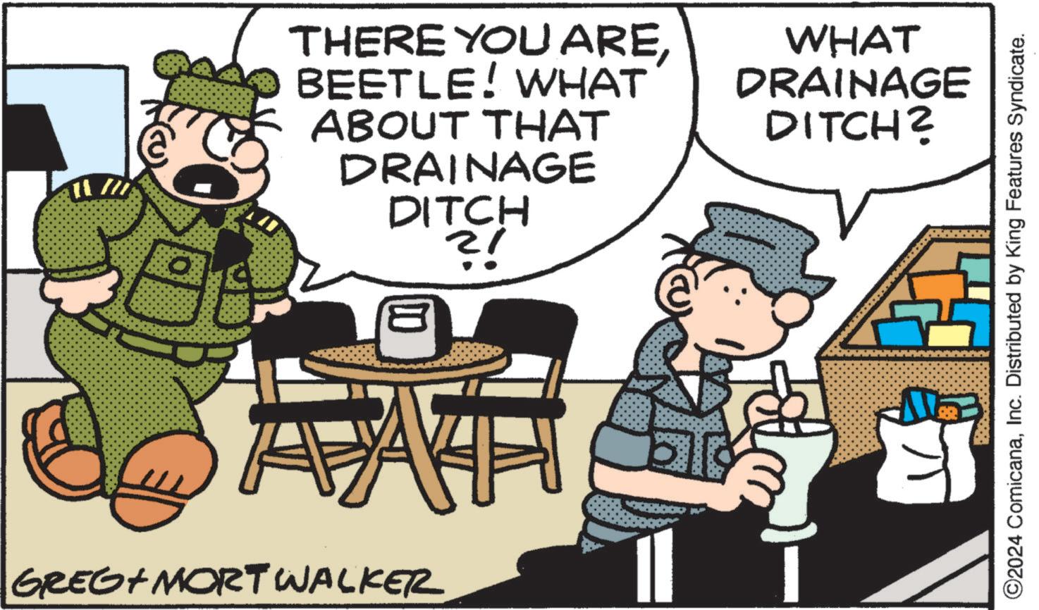 Fictional character OCR: 11 THERE YOU AREBEETLE! WHAT ABOUT THAT DRAINAGE DITCH ?! WHAT DRAINAGE DITCH? ? GREG MORTWALKER ? EJ ©2024 ComicanaInc. Distributed by King Features Syndicate. 11 THERE YOU AREBEETLE ! WHAT ABOUT THAT DRAINAGE DITCH ? ! WHAT DRAINAGE DITCH ? ? GREG MORTWALKER ? EJ © 2024 ComicanaInc. Distributed by King Features Syndicate .