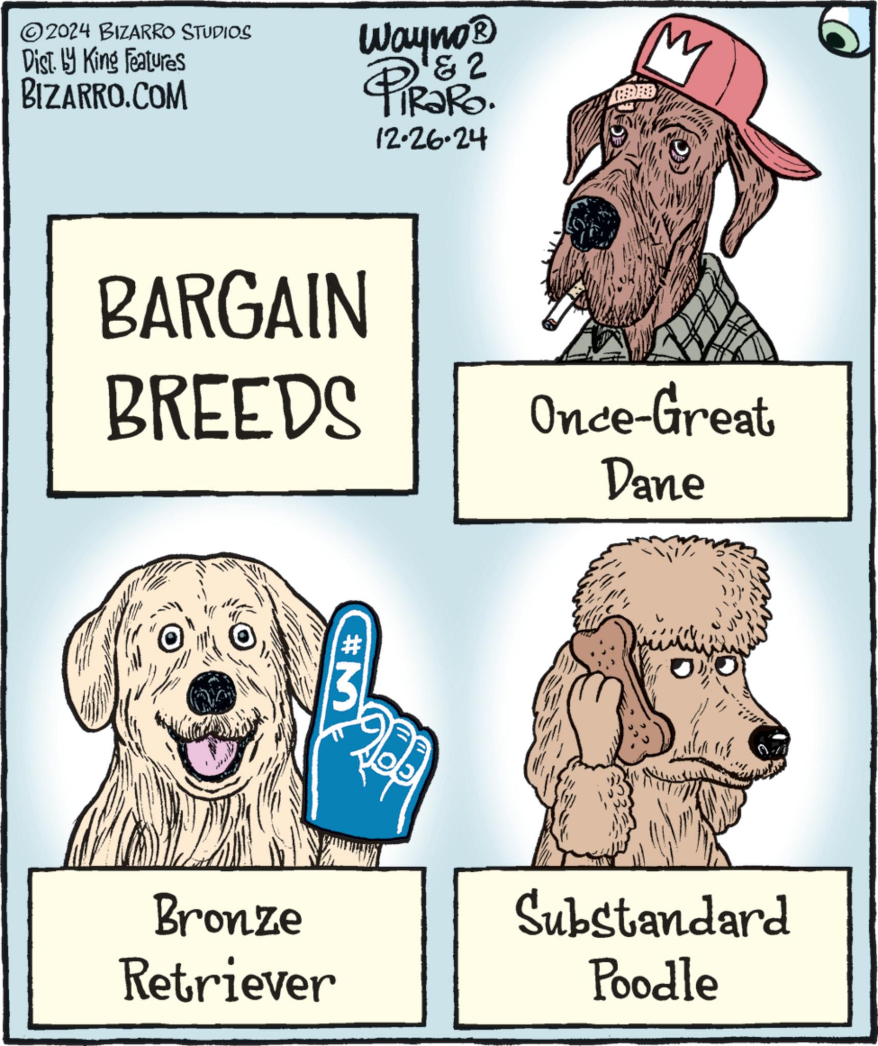 Graphics OCR: 2024 BIZARRO STUDIOS Dist. by King Features BIZARRO.COM Wayno? & 2 TRaRo. 12.26.24 M BARGAIN BREEDS Once-Great Dane #M Bronze Retriever Substandard Poodle 2024 BIZARRO STUDIOS Dist . by King Features BIZARRO.COM Wayno? & 2 TRaRo . 12.26.24 M BARGAIN BREEDS Once - Great Dane #M Bronze Retriever Substandard Poodle