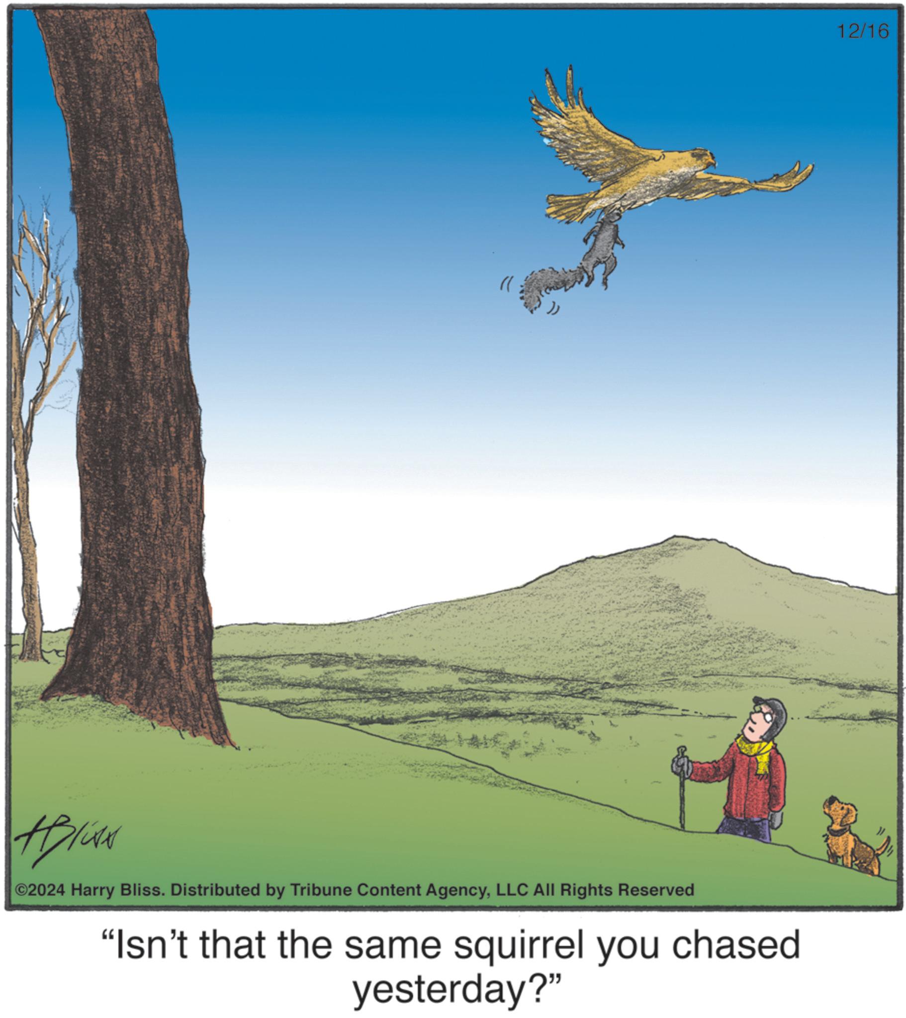 Falconiformes OCR: Apliko ©2024 Harry Bliss. Distributed by Tribune Content AgencyLLC All Rights Reserved "Isn't that the same squirrel you chased yesterday?" 12/16 Apliko © 2024 Harry Bliss . Distributed by Tribune Content AgencyLLC All Rights Reserved " Isn't that the same squirrel you chased yesterday ? " 12/16