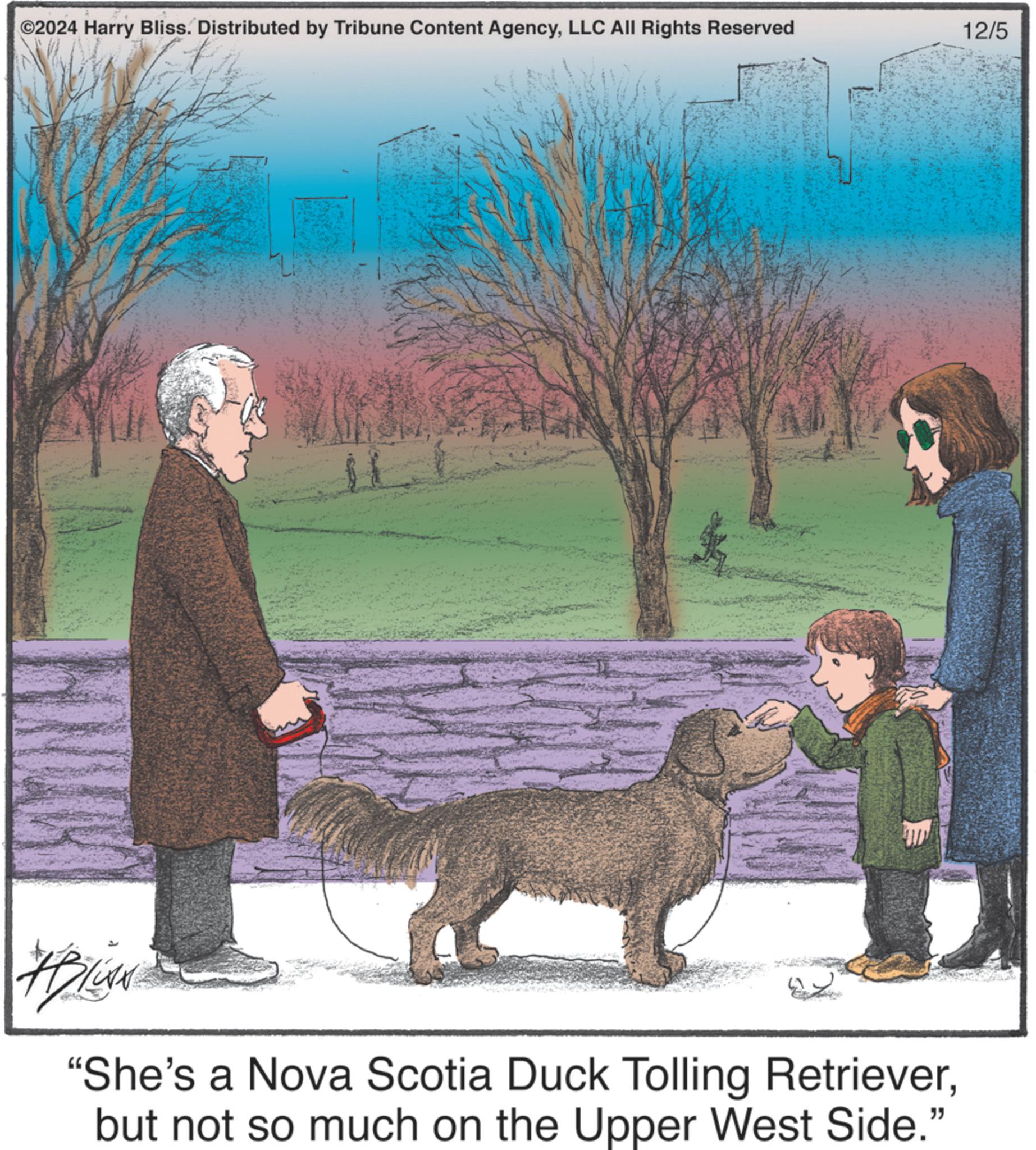 Illustration OCR: ©2024 Harry Bliss. Distributed by Tribune Content AgencyLLC All Rights Reserved #livs "She's a Nova Scotia Duck Tolling Retrieverbut not so much on the Upper West Side." 12/5 © 2024 Harry Bliss . Distributed by Tribune Content AgencyLLC All Rights Reserved #livs " She's a Nova Scotia Duck Tolling Retrieverbut not so much on the Upper West Side . " 12/5