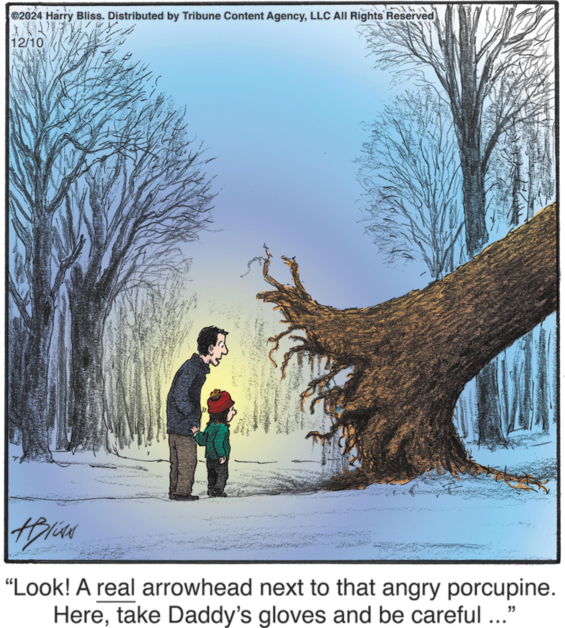 Natural landscape OCR: 2024 Harry Bliss. Distributed by Tribune Content AgencyLLC All Rights Reserved 12/10 ABICAN "Look! A real arrowhead next to that angry porcupine. Heretake Daddy's gloves and be careful ..." 2024 Harry Bliss . Distributed by Tribune Content AgencyLLC All Rights Reserved 12/10 ABICAN " Look ! A real arrowhead next to that angry porcupine . Heretake Daddy's gloves and be careful ... "