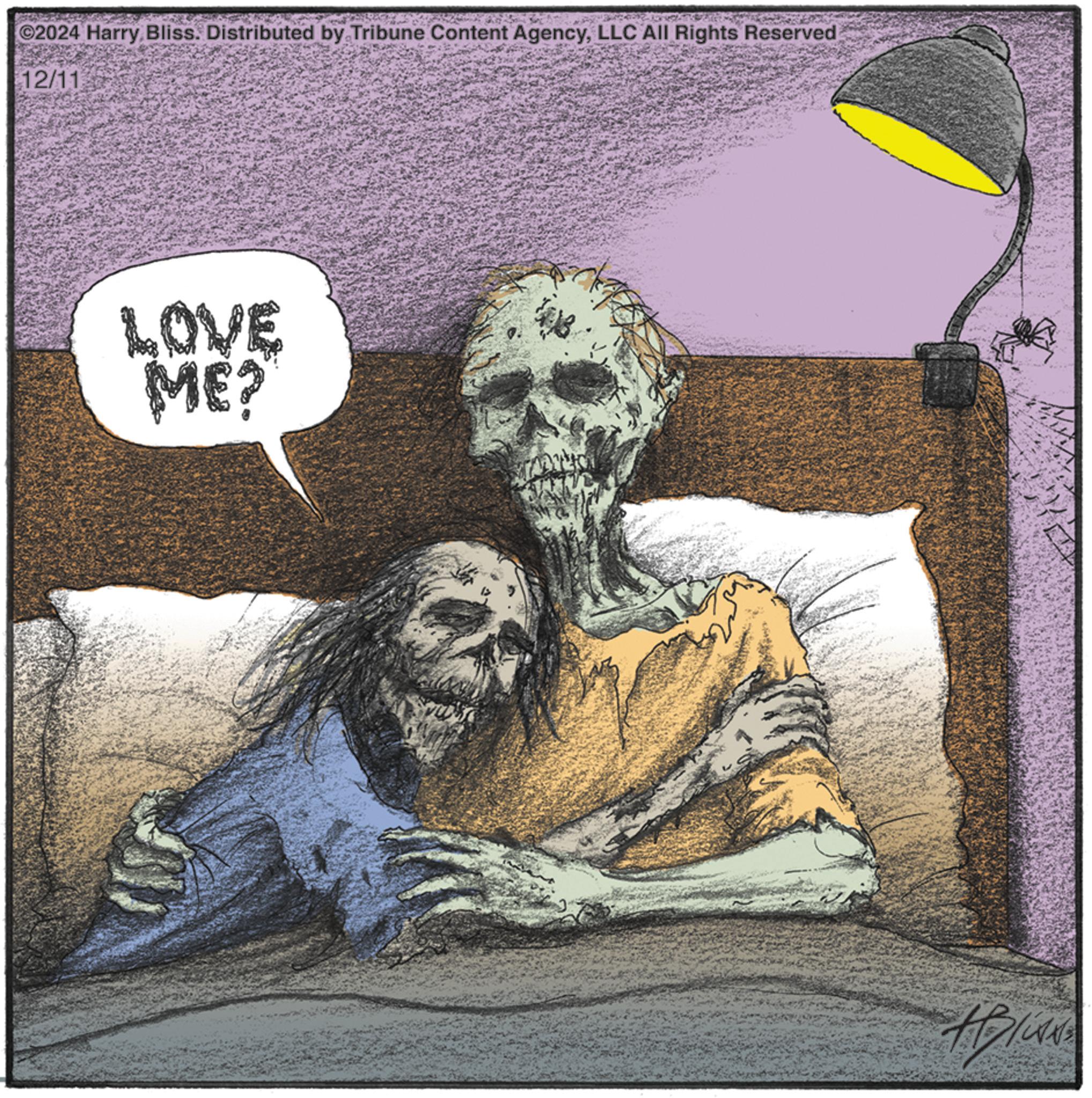Visual arts OCR: ©2024 Harry Bliss. Distributed by Tribune Content AgencyLLC All Rights Reserved 12/11 LOVE ME? © 2024 Harry Bliss . Distributed by Tribune Content AgencyLLC All Rights Reserved 12/11 LOVE ME ?