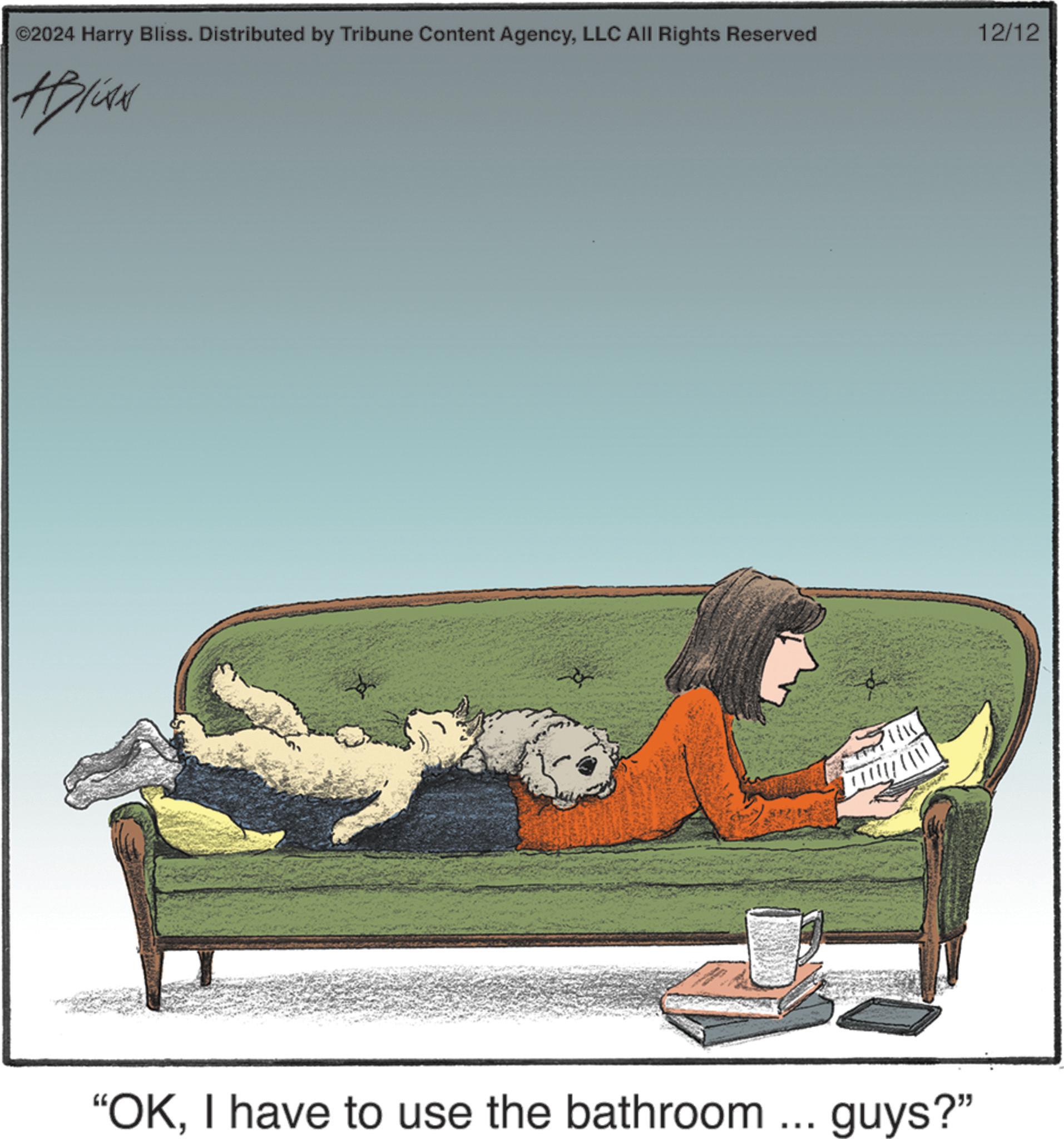 Outdoor bench OCR: ©2024 Harry Bliss. Distributed by Tribune Content AgencyLLC All Rights Reserved #Blis "OKI have to use the bathroom ... guys?" 12/12 © 2024 Harry Bliss . Distributed by Tribune Content AgencyLLC All Rights Reserved #Blis " OKI have to use the bathroom ... guys ? " 12/12