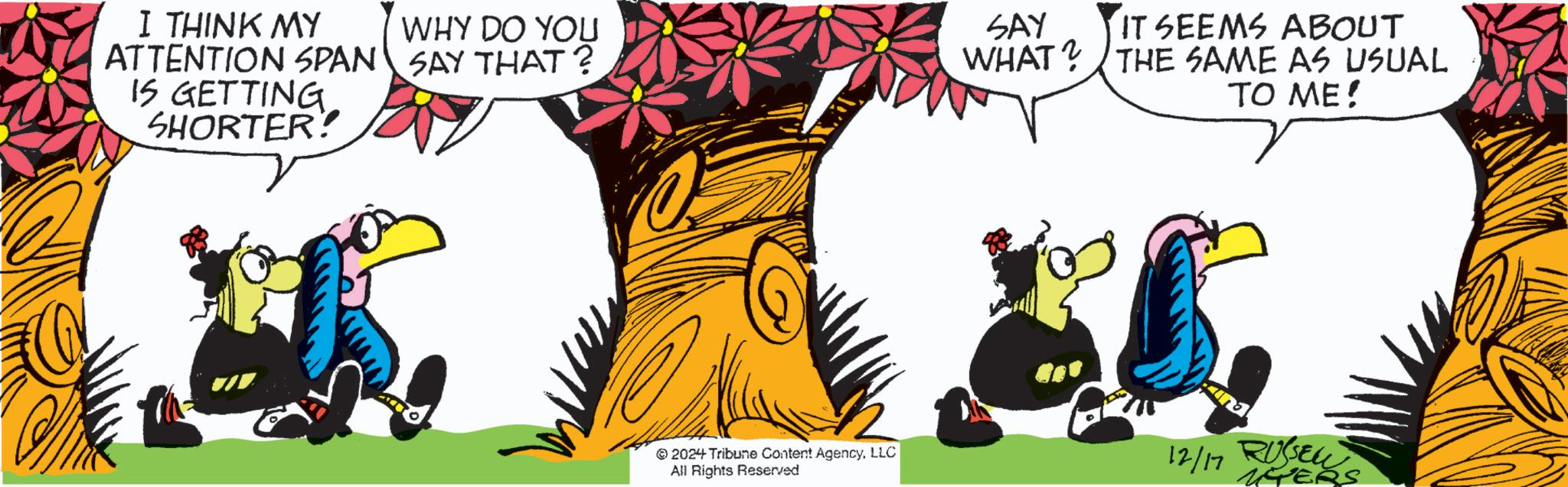 Graphic design OCR: I THINK MY ATTENTION SPAN IS GETTING SHORTER! WHY DO YOU SAY THAT? SAY WHAT? © 2024 Tribune Content AgencyLLC All Rights Reserved IT SEEMS ABOUT THE SAME AS USUAL TO ME! 12/17 RUSSEL NPERS I THINK MY ATTENTION SPAN IS GETTING SHORTER ! WHY DO YOU SAY THAT ? SAY WHAT ? © 2024 Tribune Content AgencyLLC All Rights Reserved IT SEEMS ABOUT THE SAME AS USUAL TO ME ! 12/17 RUSSEL NPERS