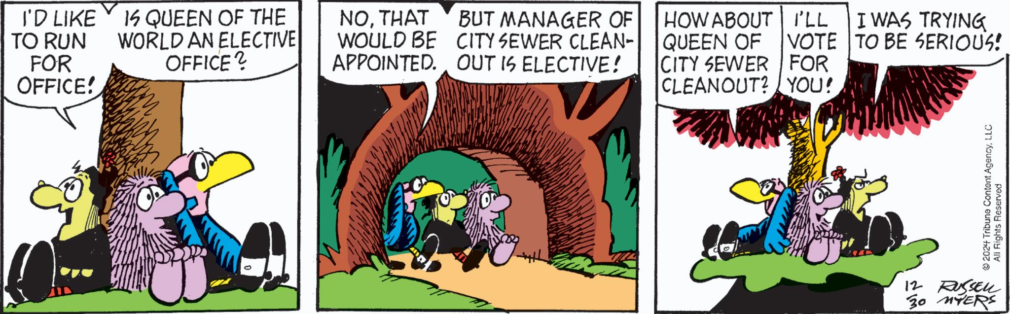 Comic book OCR: I'D LIKE TO RUN FOR OFFICE! 15 QUEEN OF THE WORLD AN ELECTIVE OFFICE? NOTHAT WOULD BE BUT MANAGER OF CITY SEWER CLEAN- APPOINTED. OUT IS ELECTIVE! HOW ABOUT I'LL QUEEN OF VOTE CITY SEWER FOR CLEANOUT? YOU! I WAS TRYING TO BE SERIOUS! © 2024 Tribune Content AgencyLLC All Rights Reserved 12 RUSSELL 30 MYERS I'D LIKE TO RUN FOR OFFICE ! 15 QUEEN OF THE WORLD AN ELECTIVE OFFICE ? NOTHAT WOULD BE BUT MANAGER OF CITY SEWER CLEAN- APPOINTED . OUT IS ELECTIVE ! HOW ABOUT I'LL QUEEN OF VOTE CITY SEWER FOR CLEANOUT ? YOU ! I WAS TRYING TO BE SERIOUS ! © 2024 Tribune Content AgencyLLC All Rights Reserved 12 RUSSELL 30 MYERS