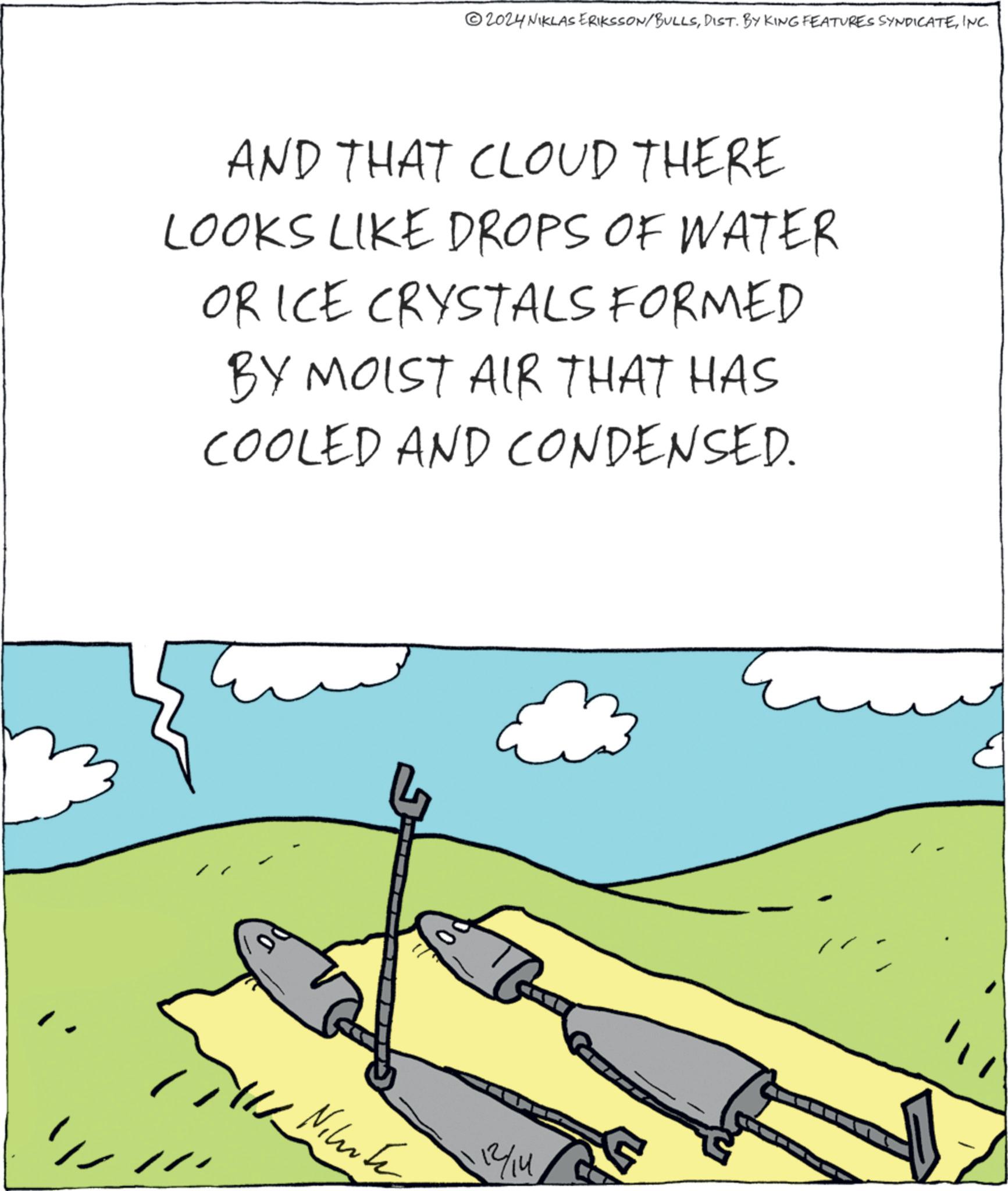 Art OCR: 2024 NIKLAS ERIKSSON/BULLSINC. AND THAT CLOUD THERE LOOKS LIKE DROPS OF WATER OR ICE CRYSTALS FORMED BY MOIST AIR THAT HAS COOLED AND CONDENSED. PO Niluke 12/14 G 2024 NIKLAS ERIKSSON / BULLSDIST . BY KING FEATURES SYNDICATEINC . AND THAT CLOUD THERE LOOKS LIKE DROPS OF WATER OR ICE CRYSTALS FORMED BY MOIST AIR THAT HAS COOLED AND CONDENSED . PO Niluke 12/14 G