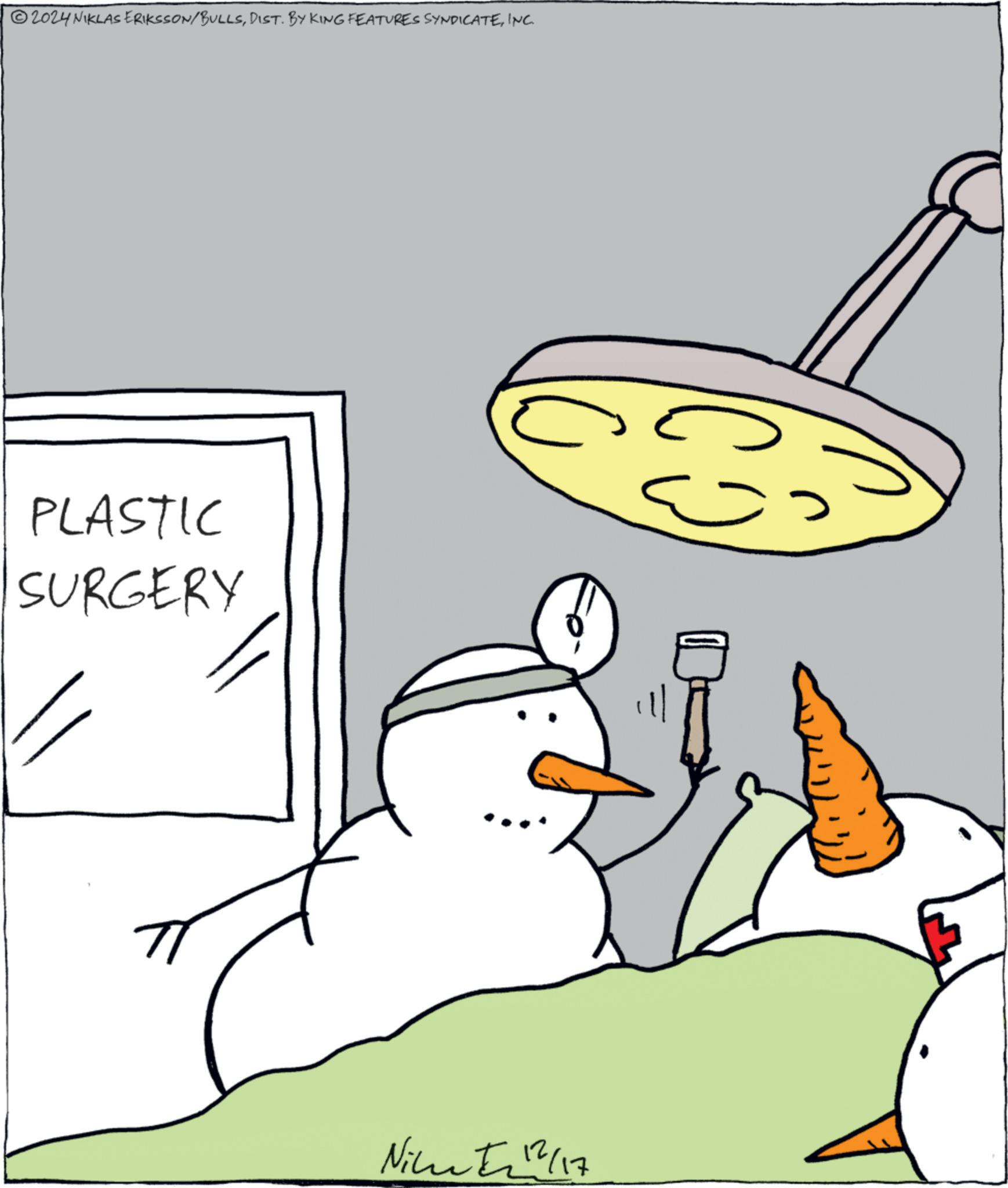 Illustration OCR: 2024 NIKLAS ERIKSSON/BULLSINC. PLASTIC SURGERY Nicutz 12/17 ? 2024 NIKLAS ERIKSSON / BULLSDIST . BY KING FEATURES SYNDICATEINC . PLASTIC SURGERY Nicutz 12/17 ?