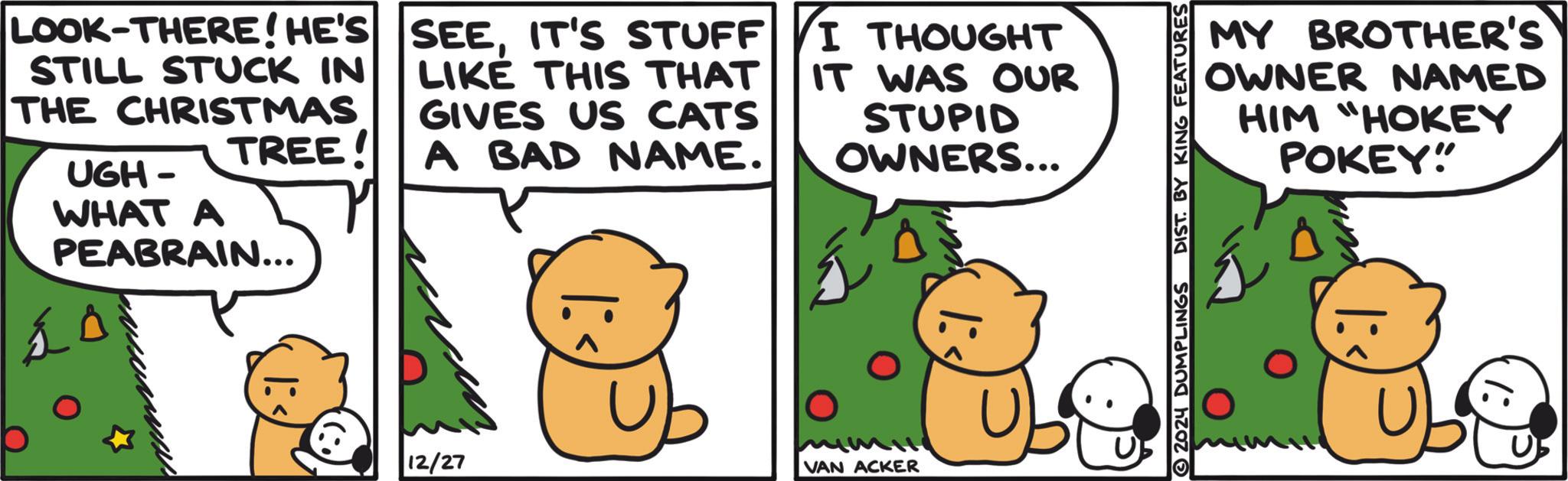 Photo caption OCR: LOOK-THERE! HE'S STILL STUCK IN THE CHRISTMAS TREE! UGH- WHAT A PEABRAIN... '.) 12/27 SEEIT'S STUFF I THOUGHT LIKE THIS THAT GIVES US CATS A BAD NAME. IT WAS OUR STUPID OWNERS... VAN ACKER MY BROTHER'S OWNER NAMED HIM "HOKEY POKEY" 2024 DUMPLINGS DIST. BY KING FEATURES LOOK - THERE ! HE'S STILL STUCK IN THE CHRISTMAS TREE ! UGH- WHAT A PEABRAIN ... ' . ) 12/27 SEEIT'S STUFF I THOUGHT LIKE THIS THAT GIVES US CATS A BAD NAME . IT WAS OUR STUPID OWNERS ... VAN ACKER MY BROTHER'S OWNER NAMED HIM " HOKEY POKEY " 2024 DUMPLINGS DIST . BY KING FEATURES