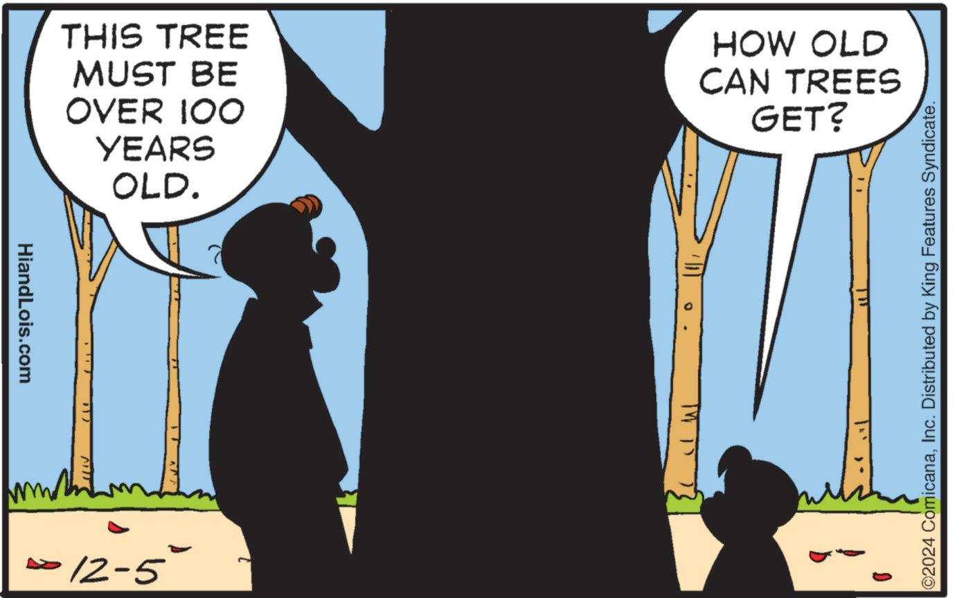 Sharing OCR: HiandLois.com THIS TREE MUST BE OVER 100 YEARS OLD. HOW OLD CAN TREES GET? ??? 17 12-5 ©2024 ComicanaInc. Distributed by King Features Syndicate. HiandLois.com THIS TREE MUST BE OVER 100 YEARS OLD . HOW OLD CAN TREES GET ? ??? 17 12-5 © 2024 ComicanaInc. Distributed by King Features Syndicate .