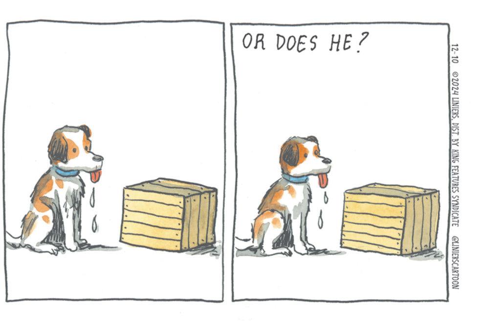 Working animal OCR: OR DOES HE? 12-10 2024 LINIERSDIST. BY KING FEATURES SYNDICATE @LINIERSCARTOON OR DOES HE ? 12-10 2024 LINIERSDIST . BY KING FEATURES SYNDICATE @LINIERSCARTOON