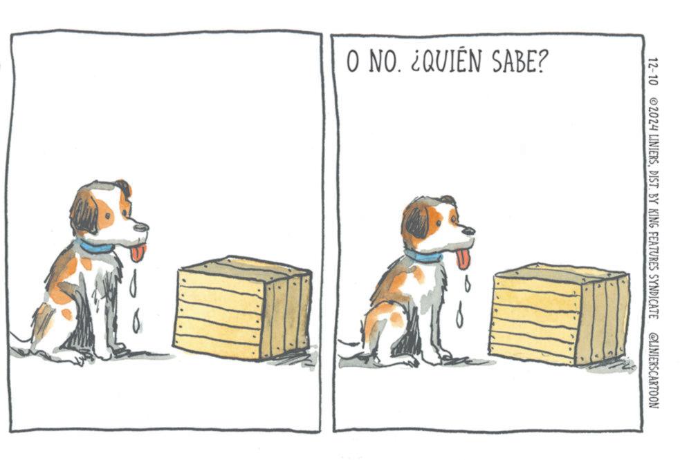 Sharing OCR: O NO. ¿QUIÉN SABE? 12-10 2024 LINIERSDIST. BY KING FEATURES SYNDICATE @LINIERSCARTOON O NO . ¿ QUIÉN SABE ? 12-10 2024 LINIERSDIST . BY KING FEATURES SYNDICATE @LINIERSCARTOON