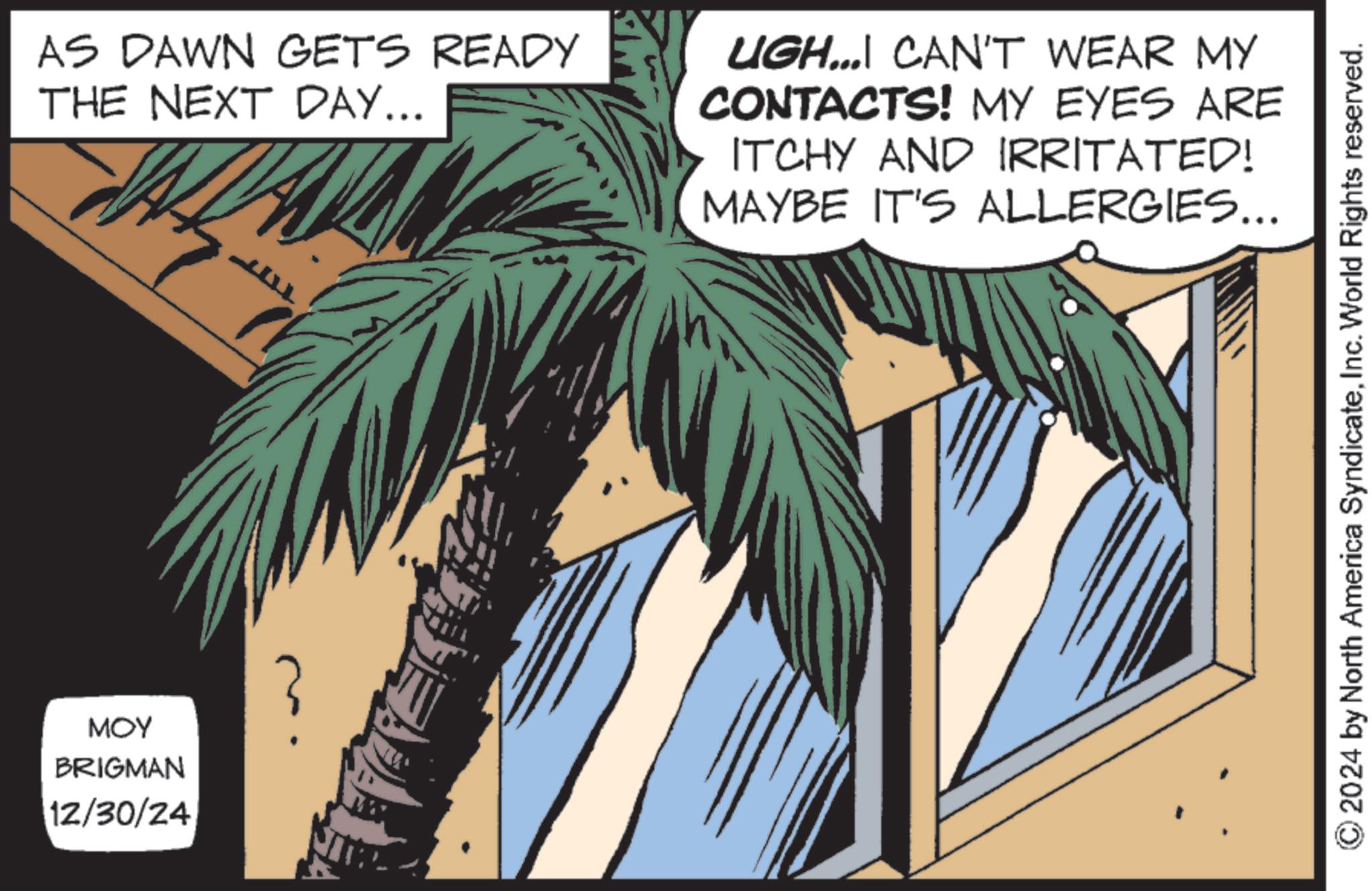 Palm trees OCR: MOY BRIGMAN 12/30/24 AS DAWN GETS READY THE NEXT DAY... UGH... CAN'T WEAR MY CONTACTS! MY EYES ARE ITCHY AND IRRITATED! MAYBE IT'S ALLERGIES... 2024 by North America SyndicateInc. World Rights reserved. MOY BRIGMAN 12/30/24 AS DAWN GETS READY THE NEXT DAY ... UGH ... CAN'T WEAR MY CONTACTS ! MY EYES ARE ITCHY AND IRRITATED ! MAYBE IT'S ALLERGIES ... 2024 by North America SyndicateInc. World Rights reserved .
