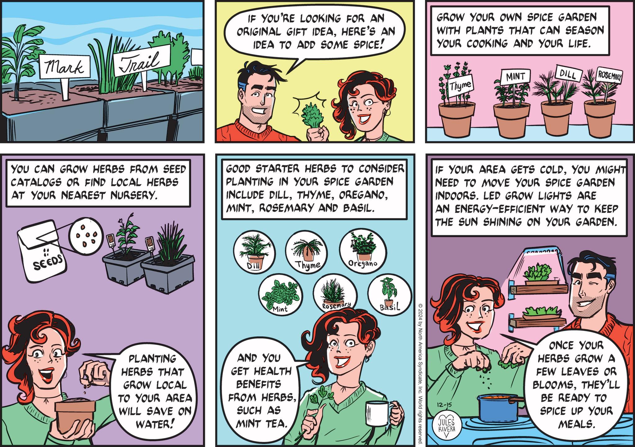 Comic book OCR: Mark Trail IF YOU'RE LOOKING FOR AN ORIGINAL GIFT IDEAHERE'S AN IDEA TO ADD SOME SPICE! GROW YOUR OWN SPICE GARDEN WITH PLANTS THAT CAN SEASON YOUR COOKING AND YOUR LIFE. MINT DILL ROSEMARY Thyme YOU CAN GROW HERBS FROM SEED CATALOGS OR FIND LOCAL HERBS AT YOUR NEAREST NURSERY. GOOD STARTER HERBS TO CONSIDER PLANTING IN YOUR SPICE GARDEN INCLUDE DILLROSEMARY AND BASIL. IF YOUR AREA GETS COLDYOU MIGHT NEED TO MOVE YOUR SPICE GARDEN INDOORS. LED GROW LIGHTS ARE AN ENERGY-EFFICIENT WAY TO KEEP THE SUN SHINING ON YOUR GARDEN. SEEDS Thyme Oregano Mint Rosemary Basil PLANTING HERBS THAT GROW LOCAL TO YOUR AREA WILL SAVE ON WATER! AND YOU GET HEALTH BENEFITS FROM HERBSSUCH AS MINT TEA. 2024 by North America SyndicateInc. World rights reserved. 12-15 JULES RIVERA ONCE YOUR HERBS GROW A FEW LEAVES OR BLOOMSTHEY'LL BE READY TO SPICE UP YOUR MEALS. Mark Trail IF YOU'RE LOOKING FOR AN ORIGINAL GIFT IDEAHERE'S AN IDEA TO ADD SOME SPICE ! GROW YOUR OWN SPICE GARDEN WITH PLANTS THAT CAN SEASON YOUR COOKING AND YOUR LIFE . MINT DILL ROSEMARY Thyme YOU CAN GROW HERBS FROM SEED CATALOGS OR FIND LOCAL HERBS AT YOUR NEAREST NURSERY . GOOD STARTER HERBS TO CONSIDER PLANTING IN YOUR SPICE GARDEN INCLUDE DILLROSEMARY AND BASIL . IF YOUR AREA GETS COLDYOU MIGHT NEED TO MOVE YOUR SPICE GARDEN INDOORS . LED GROW LIGHTS ARE AN ENERGY - EFFICIENT WAY TO KEEP THE SUN SHINING ON YOUR GARDEN . SEEDS Thyme Oregano Mint Rosemary Basil PLANTING HERBS THAT GROW LOCAL TO YOUR AREA WILL SAVE ON WATER ! AND YOU GET HEALTH BENEFITS FROM HERBSSUCH AS MINT TEA . 2024 by North America SyndicateInc. World rights reserved . 12-15 JULES RIVERA ONCE YOUR HERBS GROW A FEW LEAVES OR BLOOMSTHEY'LL BE READY TO SPICE UP YOUR MEALS .