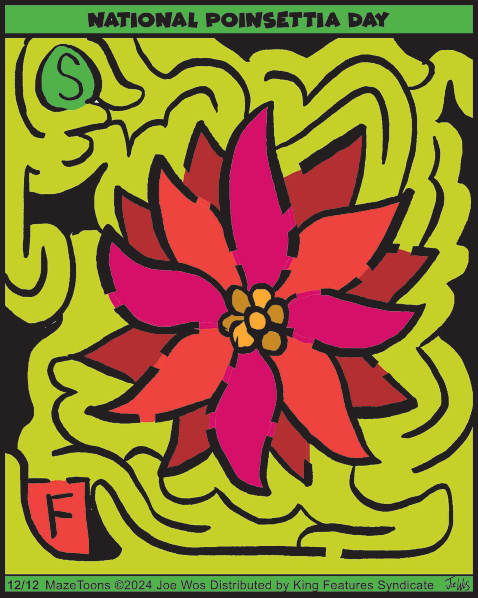 Poster OCR: S NATIONAL POINSETTIA DAY 12/12 Maze Toons ©2024 Joe Wos Distributed by King Features Syndicate Joe Was S NATIONAL POINSETTIA DAY 12/12 Maze Toons © 2024 Joe Wos Distributed by King Features Syndicate Joe Was