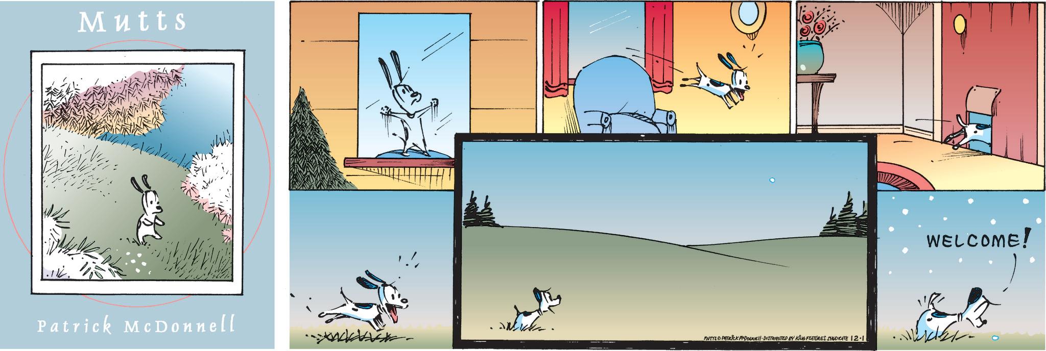 Art OCR: .116. Mutts Patrick McDonnell ... DUTYS PATRICK MADONNE DISTRIBUTED BY KING FEATURES SYNDICATE 12-1 WELCOME! .116 . Mutts Patrick McDonnell ... DUTYS PATRICK MADONNE DISTRIBUTED BY KING FEATURES SYNDICATE 12-1 WELCOME !