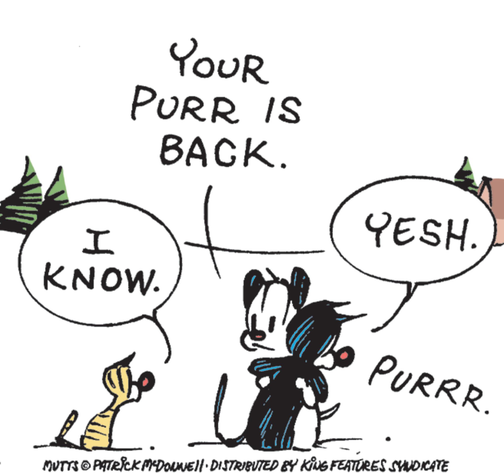 Line art OCR: YOUR PURR IS BACK. I KNOW. YESH. PURRR. MUTTS © PATRICK MYDONNELL DISTRIBUTED BY KING FEATURES SYNDICATE YOUR PURR IS BACK . I KNOW . YESH . PURRR . MUTTS © PATRICK MYDONNELL DISTRIBUTED BY KING FEATURES SYNDICATE