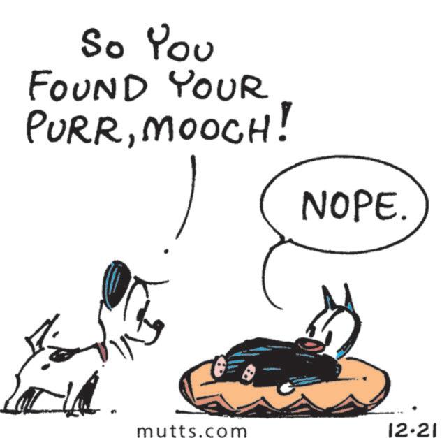 Clip art OCR: So You FOUND YOUR PURRMOOCH! NOPE. mutts.com 12-21 So You FOUND YOUR PURRMOOCH ! NOPE . mutts.com 12-21