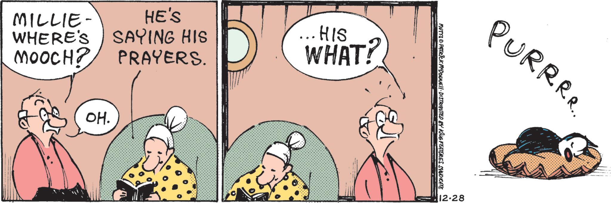 Graphics OCR: MILLIE- HE'S WHERE'S SAYING HIS MOOCH? PRAYERS. HIS WHAT! OH. PURRRR. MUTTS PATRICK MCDONNEll · DISTRIBUTED BY KING FEATURES SYNDICATE 12.28 MILLIE- HE'S WHERE'S SAYING HIS MOOCH ? PRAYERS . HIS WHAT ! OH . PURRRR . MUTTS PATRICK MCDONNEll · DISTRIBUTED BY KING FEATURES SYNDICATE 12.28