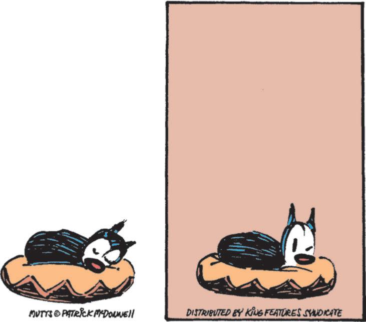 Illustration OCR: MUTTS@PATRICK MCDONNEll DISTRIBUTED BY KING FEATURES SYNDICATE MUTTS @ PATRICK MCDONNEll DISTRIBUTED BY KING FEATURES SYNDICATE