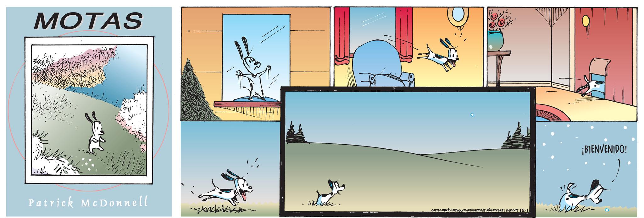 Line OCR: MOTAS 1.116. Patrick McDonnell - MUTYS PATRICK MADONNE!! DISTRIBUTED BY KING FEATURES SYNDICATE 12-1 ¡BIENVENIDO! MOTAS 1.116 . Patrick McDonnell - MUTYS PATRICK MADONNE !! DISTRIBUTED BY KING FEATURES SYNDICATE 12-1 ¡ BIENVENIDO !