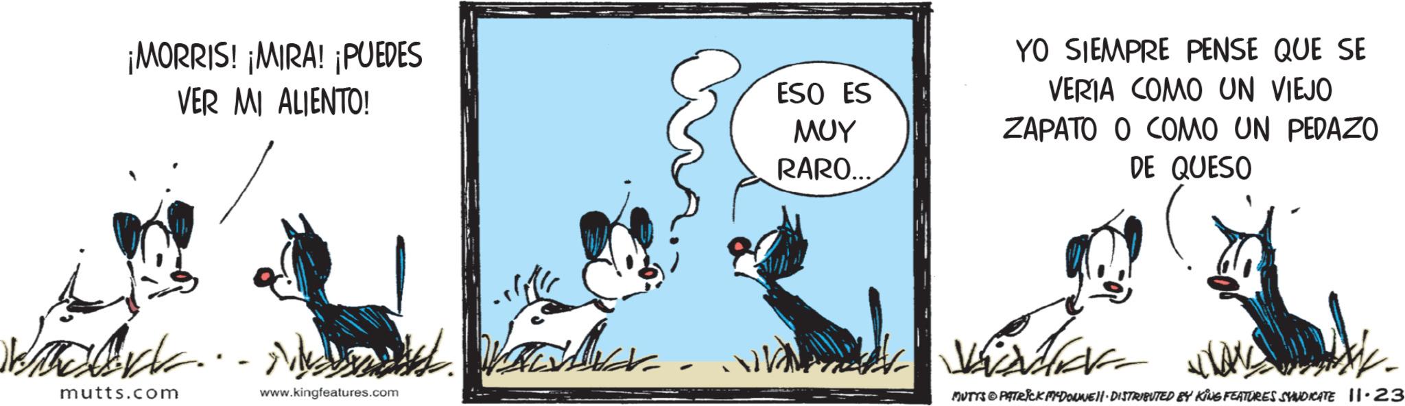 Terrestrial animal OCR: ¡MORRIS! ¡MIRA! ¡PUEDES VER MI ALIENTO! ESO ES ??? RARO... YO SIEMPRE PENSE QUE SE VERIA COMO UN VIEJO ZAPATO O COMO UN PEDAZO DE QUESO mutts.com www.kingfeatures.com MUTTS © PATRICK MCDONNELL DISTRIBUTED BY KING FEATURES SYNDICATE 11.23 ¡ MORRIS ! ¡ MIRA ! ¡ PUEDES VER MI ALIENTO ! ESO ES ??? RARO ... YO SIEMPRE PENSE QUE SE VERIA COMO UN VIEJO ZAPATO O COMO UN PEDAZO DE QUESO mutts.com www.kingfeatures.com MUTTS © PATRICK MCDONNELL DISTRIBUTED BY KING FEATURES SYNDICATE 11.23