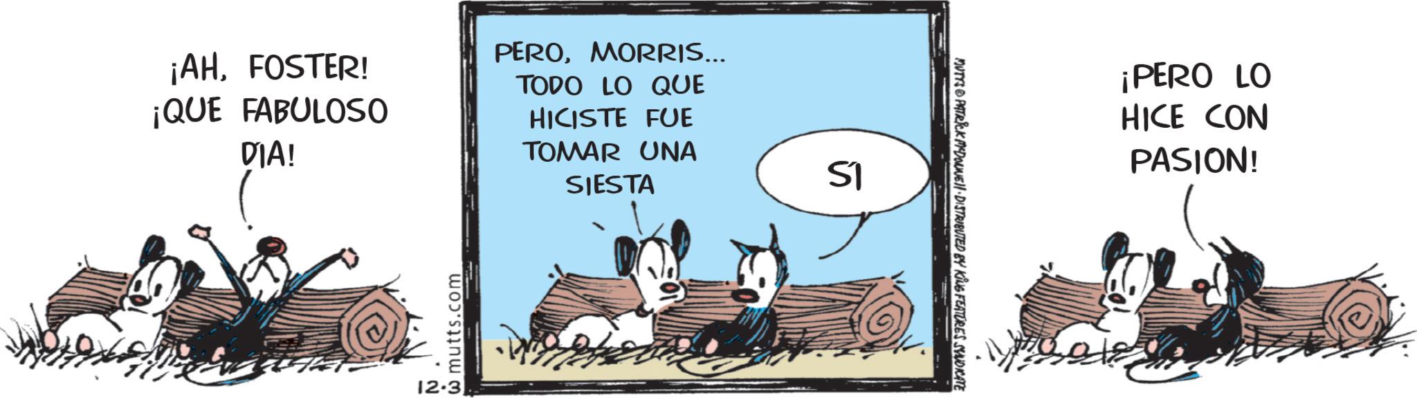 Fictional character OCR: ¡AHFOSTER! ¡QUE FABULOSO DIA! PEROMORRIS... TODO LO QUE HICISTE FUE TOMAR UNA SIESTA 12.3 w mutts.com 51 MUTYS PATRICK MYDONNE DISTRIBUTED BY KING FEATURES SYNDICATE ¡PERO LO HICE CON PASION! ¡ AHFOSTER ! ¡ QUE FABULOSO DIA ! PEROMORRIS ... TODO LO QUE HICISTE FUE TOMAR UNA SIESTA 12.3 w mutts.com 51 MUTYS PATRICK MYDONNE DISTRIBUTED BY KING FEATURES SYNDICATE ¡ PERO LO HICE CON PASION !