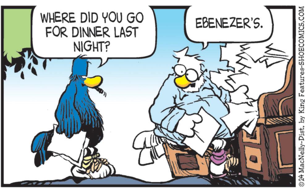 Flightless bird OCR: WHERE DID YOU GO FOR DINNER LAST NIGHT? EBENEZER'S. ©24 MacNelly-Dist. by King Features-SHOECOMICS.COM WHERE DID YOU GO FOR DINNER LAST NIGHT ? EBENEZER'S . © 24 MacNelly - Dist . by King Features-SHOECOMICS.COM