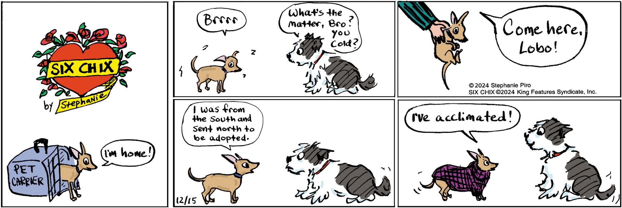 Working animal OCR: SIX CHIX by Stephanie h Brrrr What's the MatterBro? you Cold? PET CARRIER (I'm home! I was from the South and Sent north to be adopted. 12/15 Come here. Lobo! 2024 Stephanie Piro SIX CHIX ©2024 King Features SyndicateInc. I've acclimated! SIX CHIX by Stephanie h Brrrr What's the MatterBro ? you Cold ? PET CARRIER ( I'm home ! I was from the South and Sent north to be adopted . 12/15 Come here . Lobo ! 2024 Stephanie Piro SIX CHIX © 2024 King Features SyndicateInc. I've acclimated !