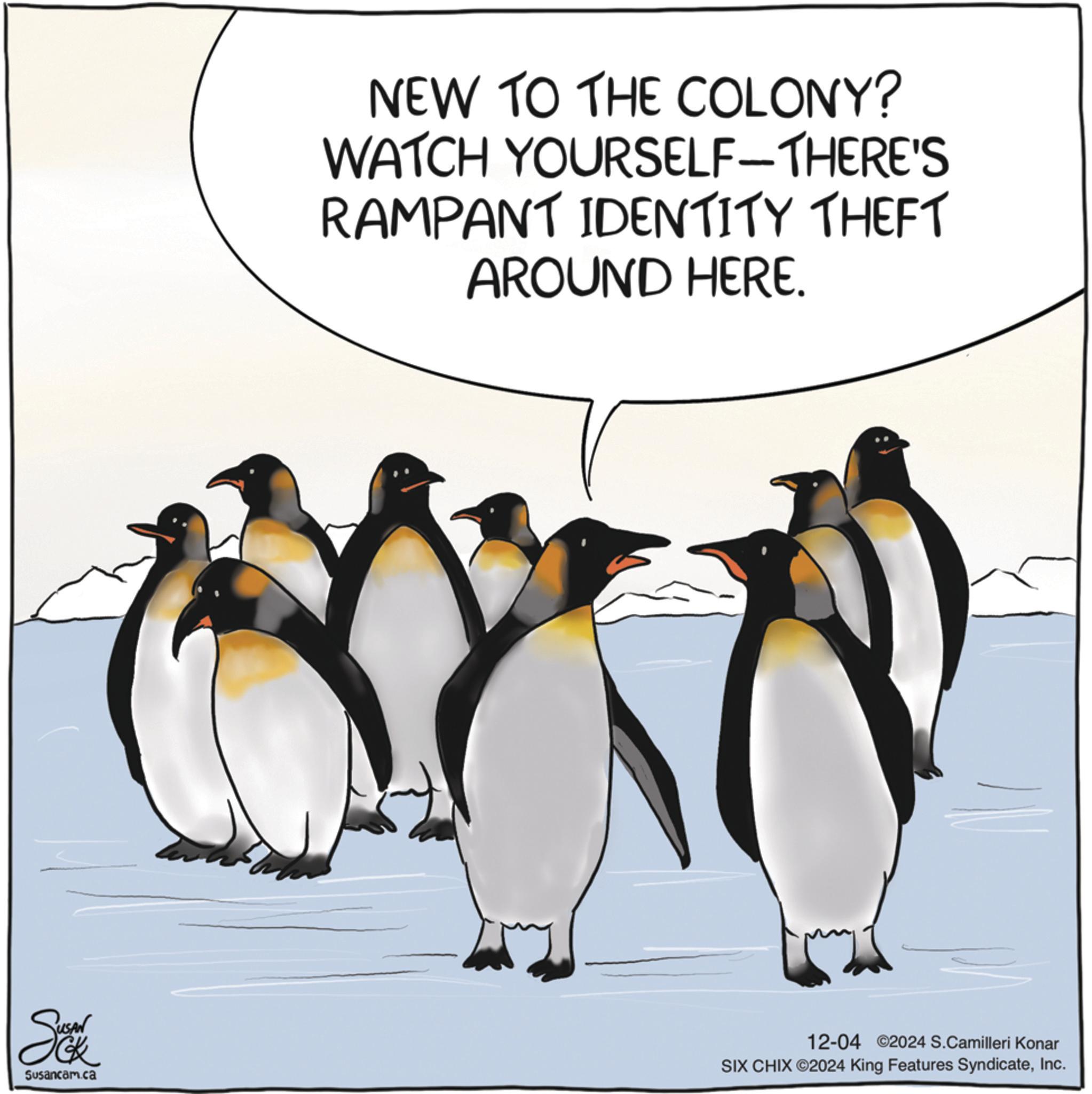 Adaptation OCR: NEW TO THE COLONY? WATCH YOURSELF-THERE'S RAMPANT IDENTITY THEFT AROUND HERE. Sarathk Susancam.ca 12-04 2024 S.Camilleri Konar SIX CHIX ©2024 King Features SyndicateInc. NEW TO THE COLONY ? WATCH YOURSELF - THERE'S RAMPANT IDENTITY THEFT AROUND HERE . Sarathk Susancam.ca 12-04 2024 S.Camilleri Konar SIX CHIX © 2024 King Features Syndicate