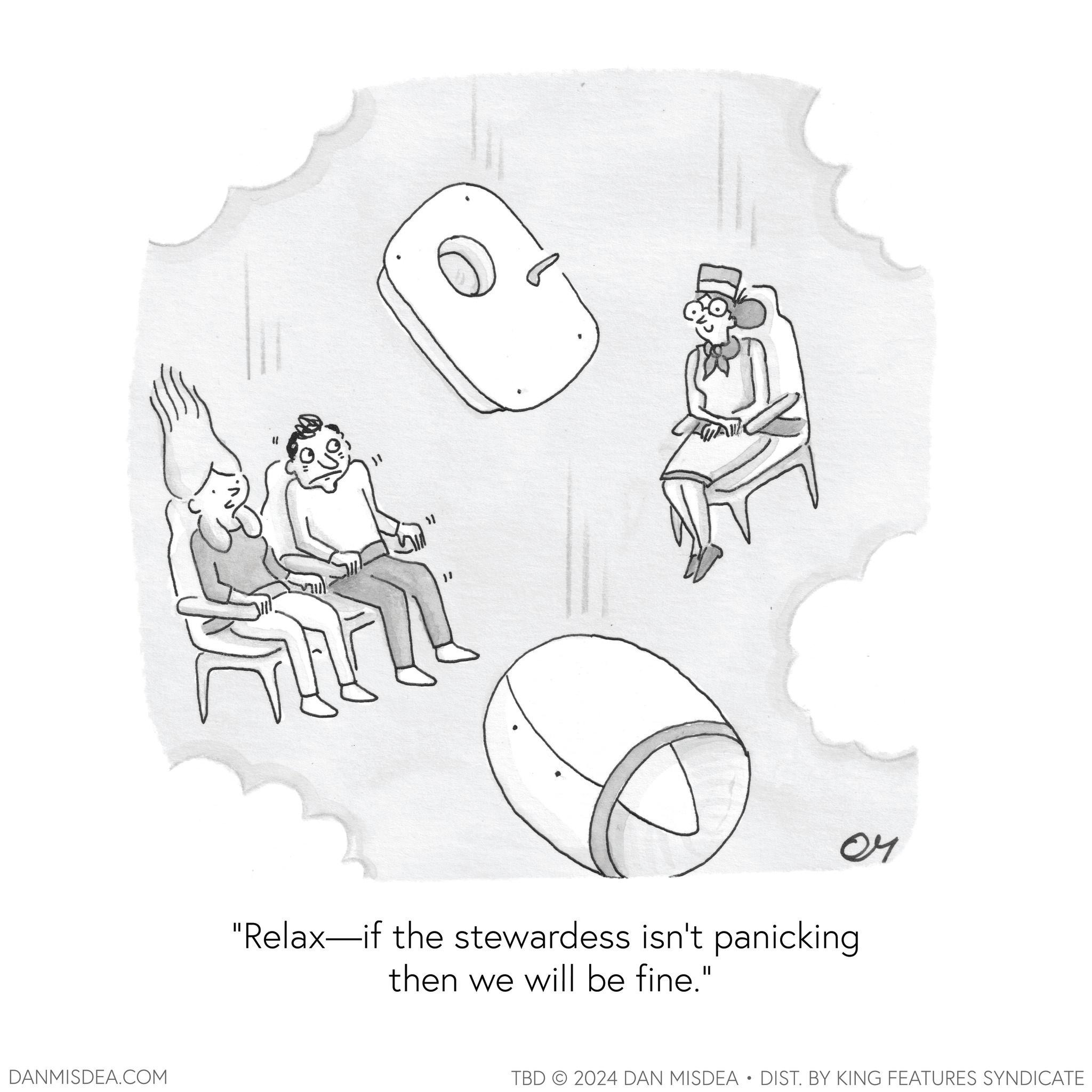Graphics OCR: DANMISDEA.COM 11 04 "Relax-if the stewardess isn't panicking. then we will be fine." TBD 2024 DAN MISDEA • DIST. BY KING FEATURES SYNDICATE DANMISDEA.COM 11 04 " Relax - if the stewardess isn't panicking . then we will be fine . " TBD 2024 DAN MISDEA • DIST . BY KING FEATURES SYNDICATE