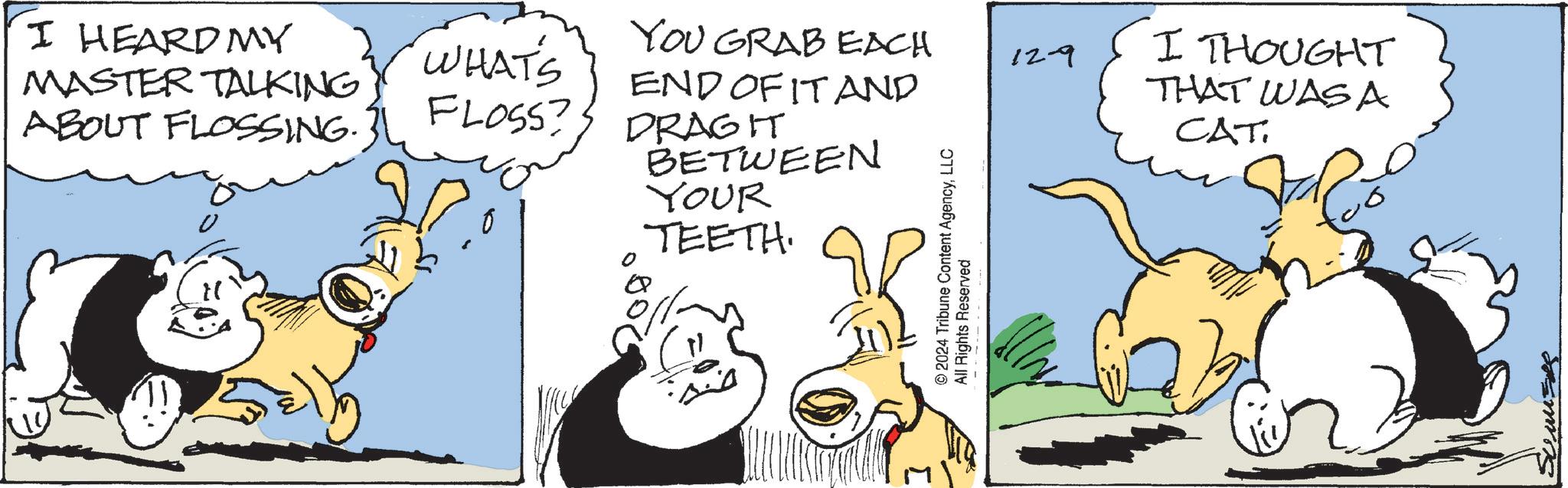 Comic book OCR: YOU GRAB EACH 129 I HEARD MY MASTER TALKING WHAT'S FLOSS? ABOUT FLOSSING. 0 END OF IT AND DRAGIT BETWEEN YOUR TEETH. © 2024 Tribune Content AgencyLLC All Rights Reserved I THOUGHT THAT WASA CAT YOU GRAB EACH 129 I HEARD MY MASTER TALKING WHAT'S FLOSS ? ABOUT FLOSSING . 0 END OF IT AND DRAGIT BETWEEN YOUR TEETH . © 2024 Tribune Content AgencyLLC All Rights Reserved I THOUGHT THAT WASA CAT